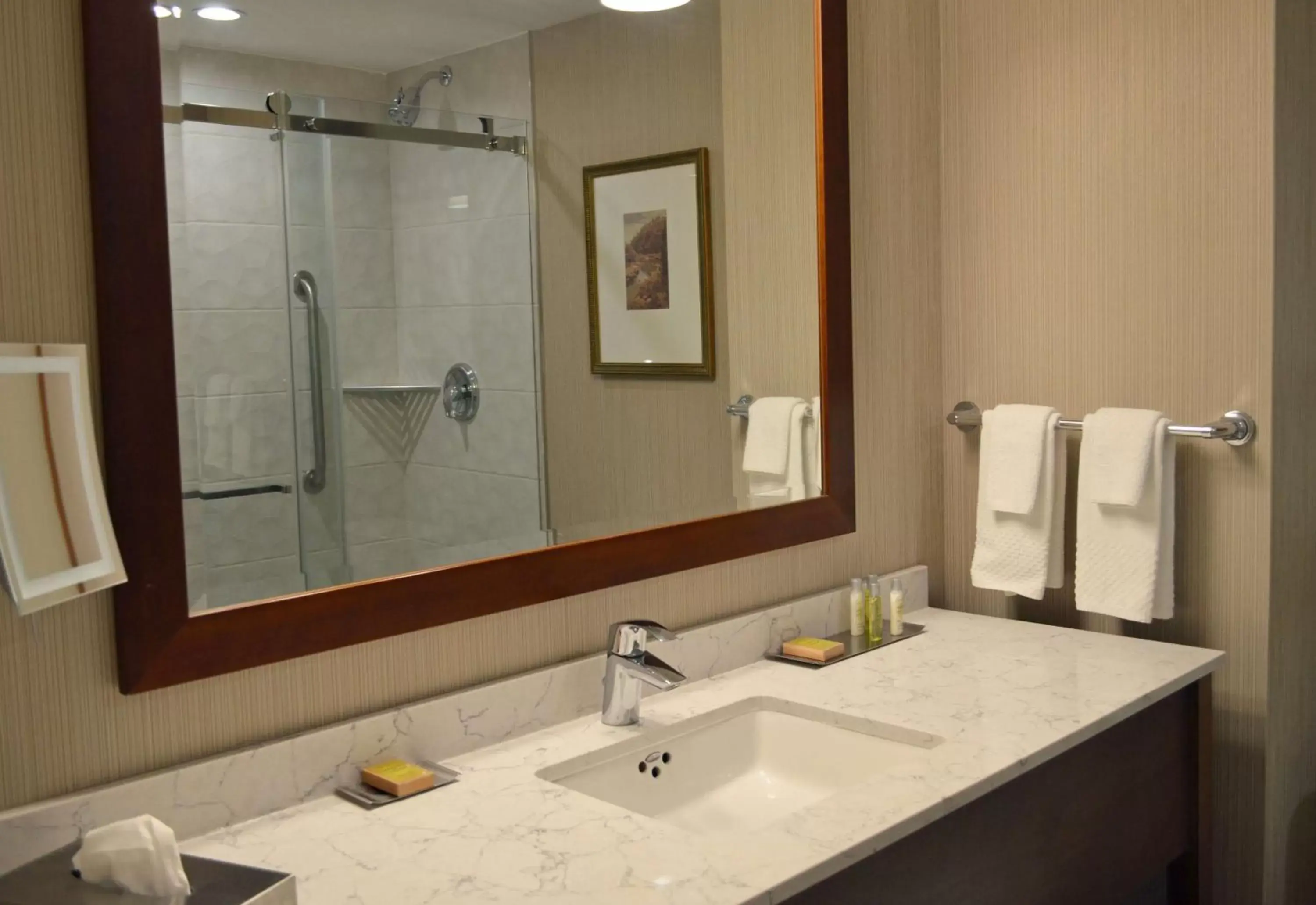 Bathroom in DoubleTree Fallsview Resort & Spa by Hilton - Niagara Falls