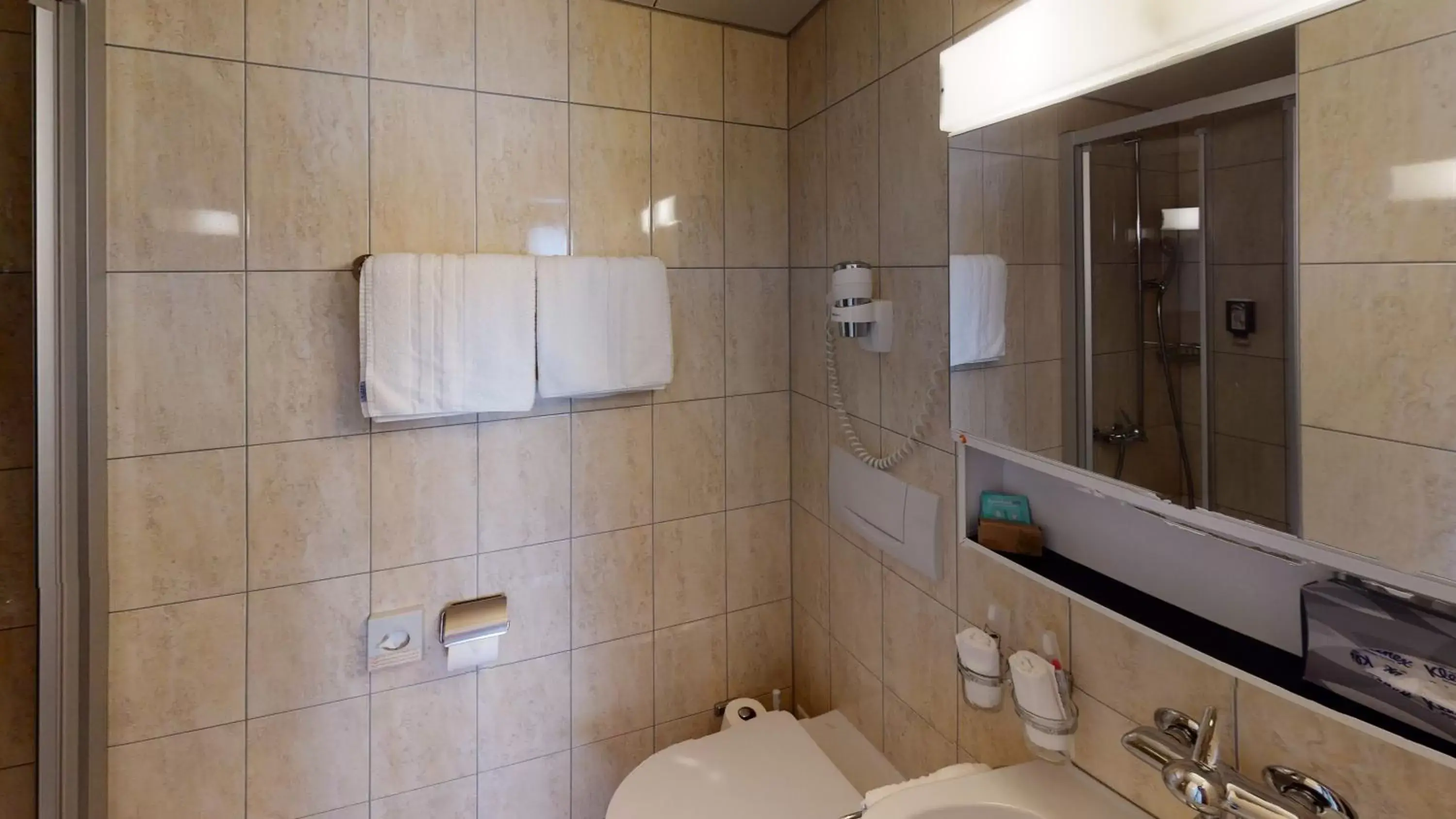 Toilet, Bathroom in Hotel Ambassador