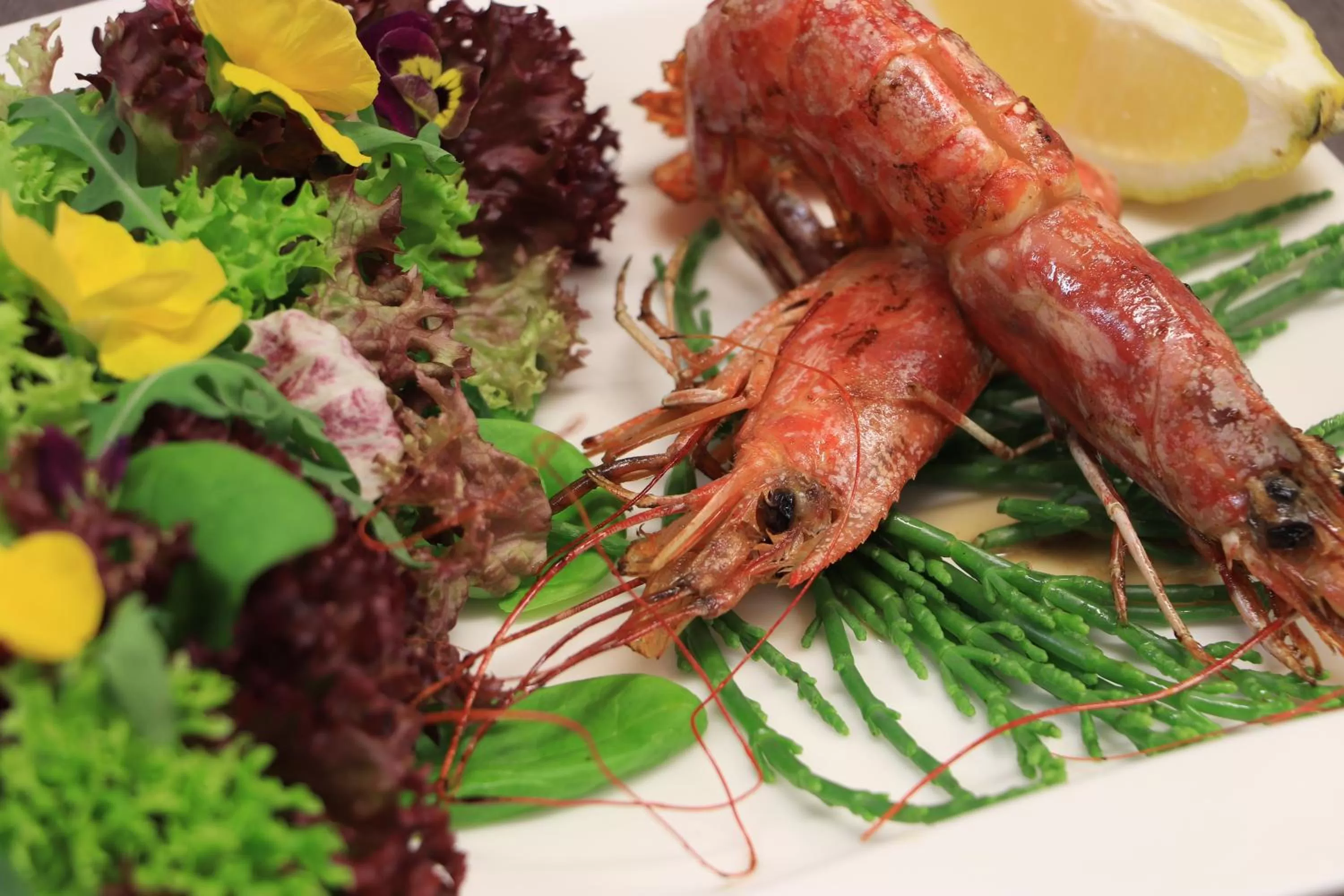 Restaurant/places to eat in Hotel Waldhäusel