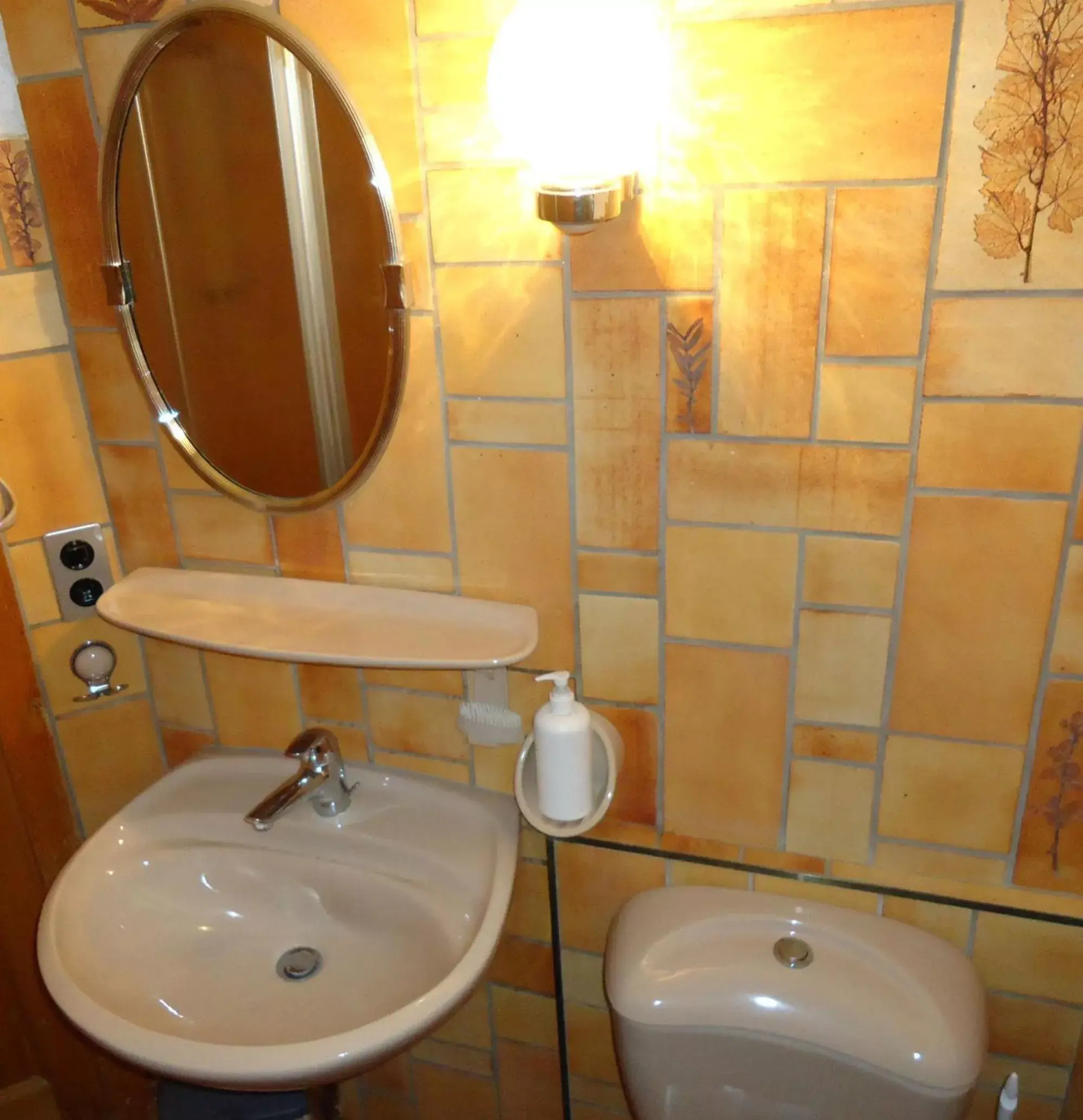 Toilet, Bathroom in BnB Claudy et Elizabeth Michellod-Dutheil