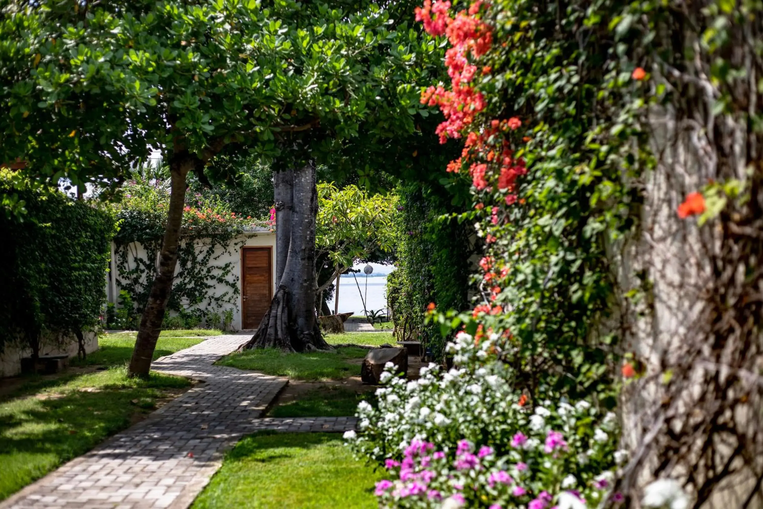 Natural landscape, Garden in Kokomo Resort Gili Gede