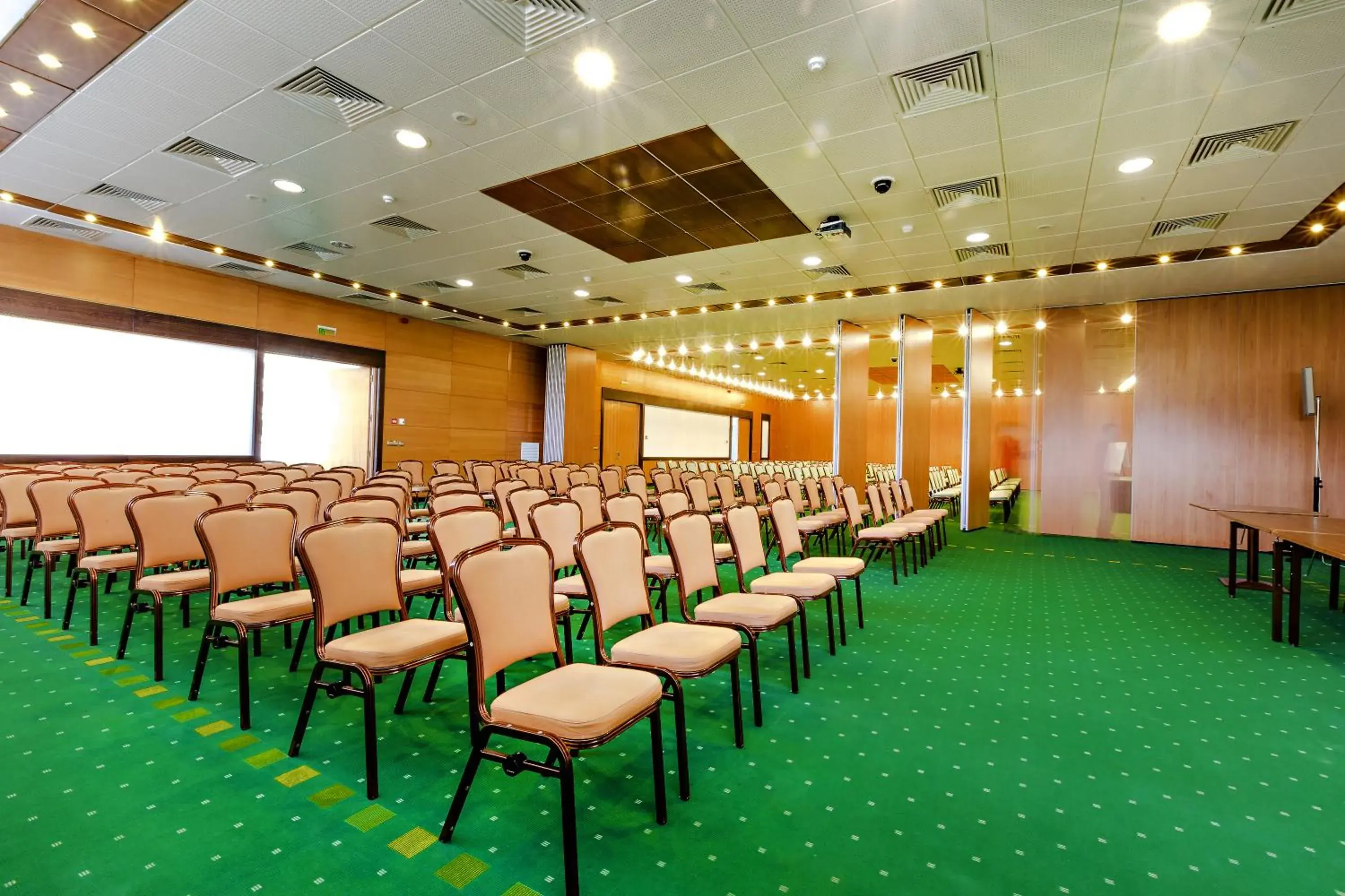 Business facilities in Hotel Aro Palace