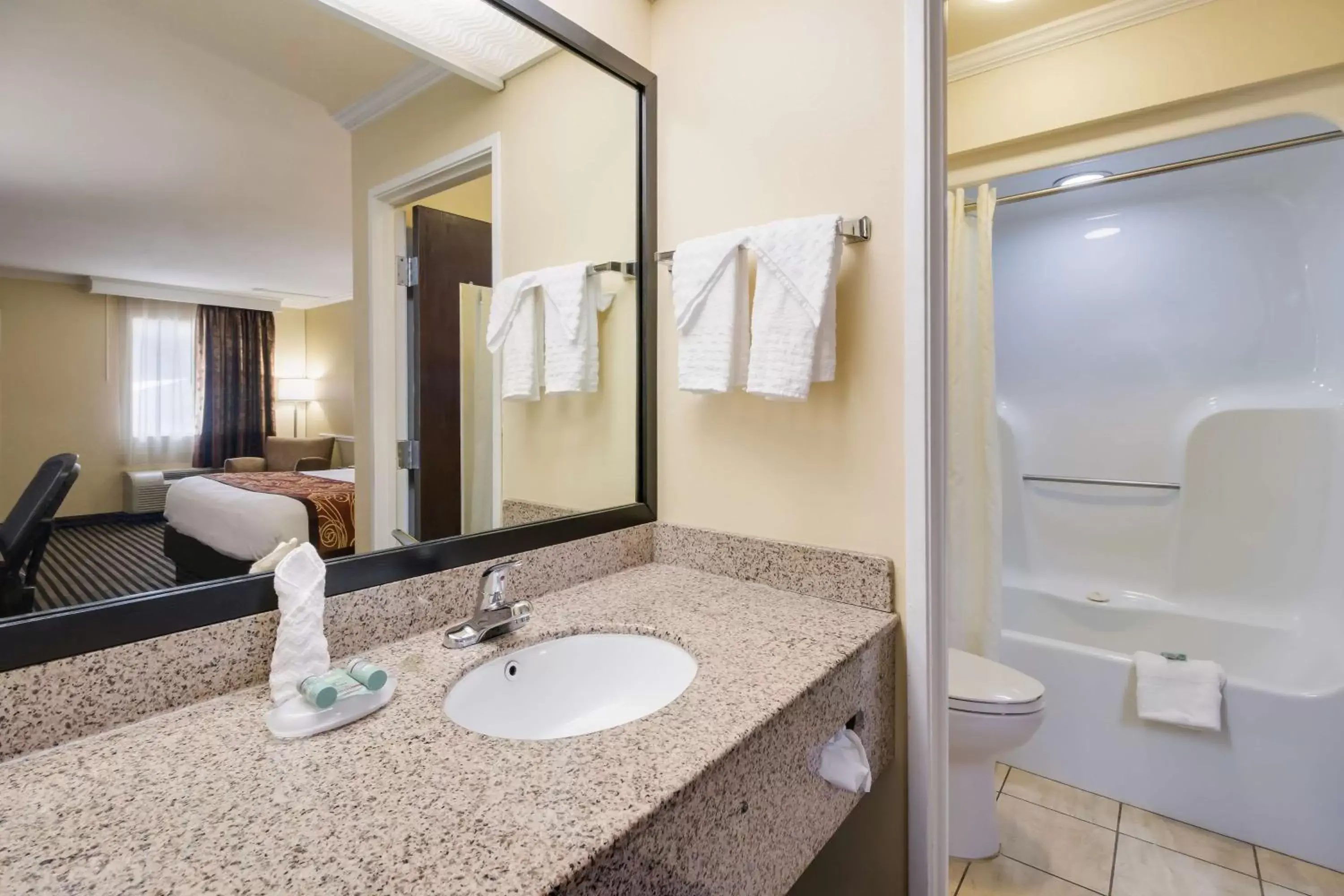 Bathroom in Best Western - McKenzie