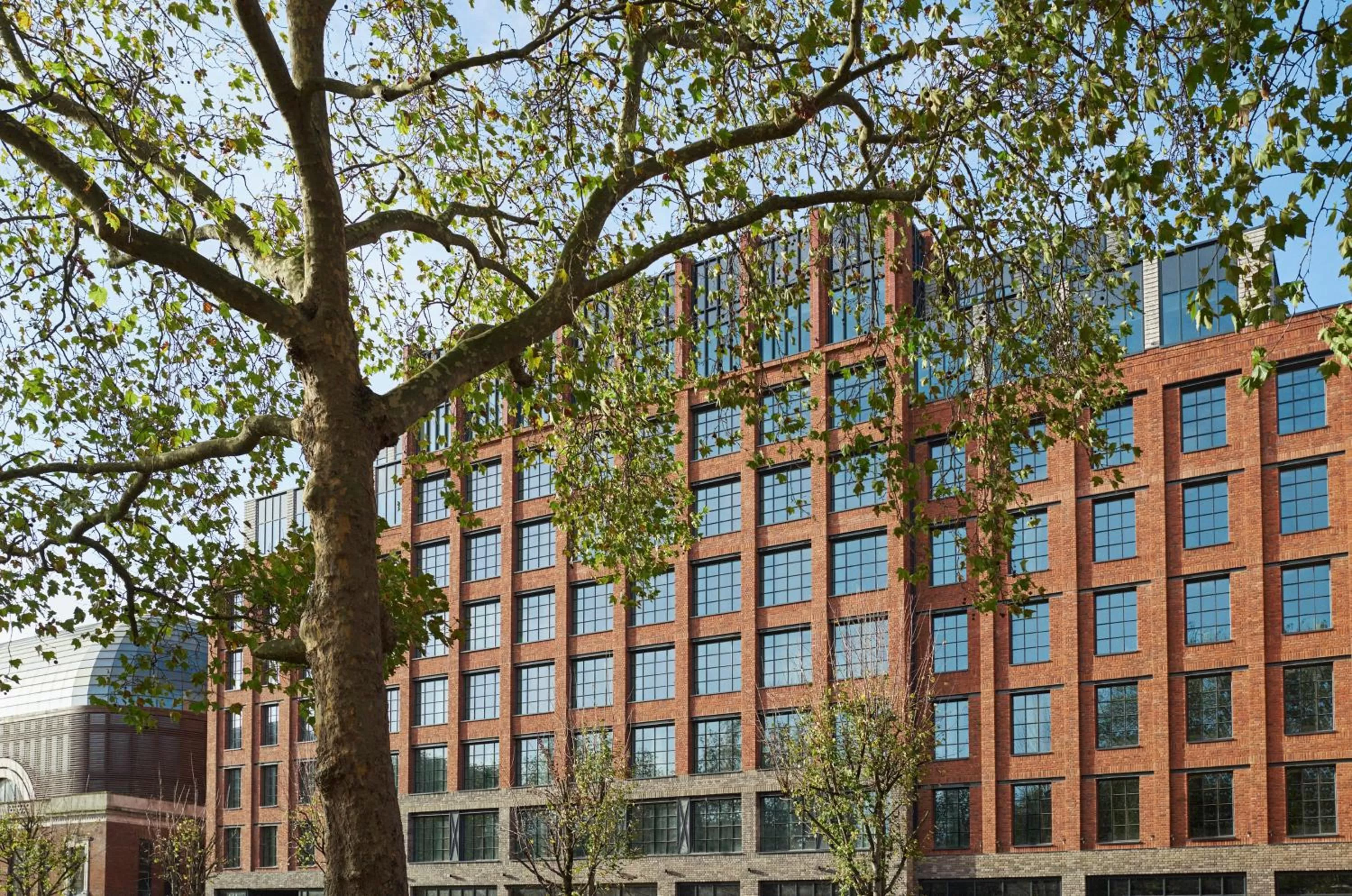 Property building in The Hoxton, Shepherds Bush