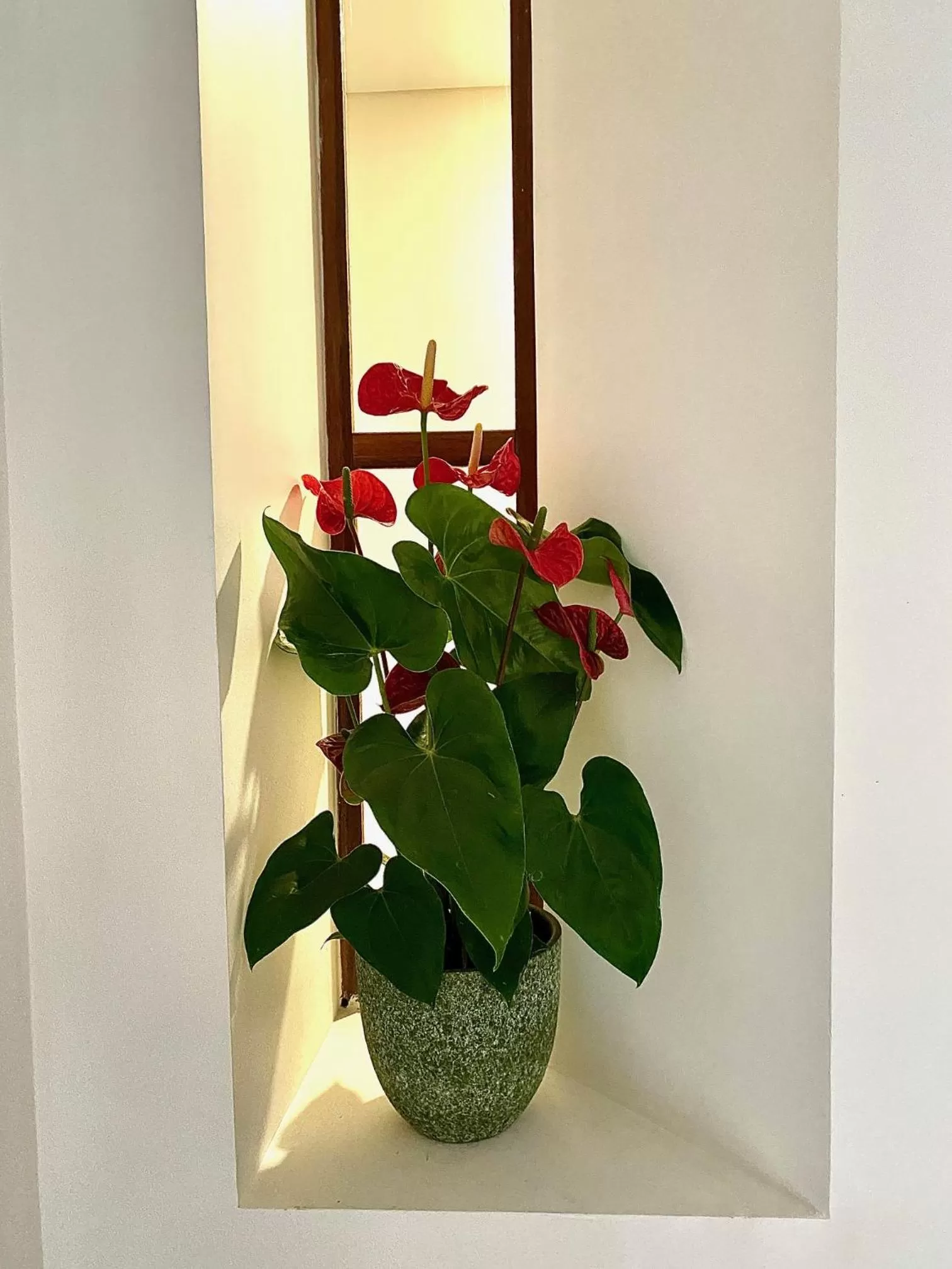 DOURO B&B Pensão Avenida