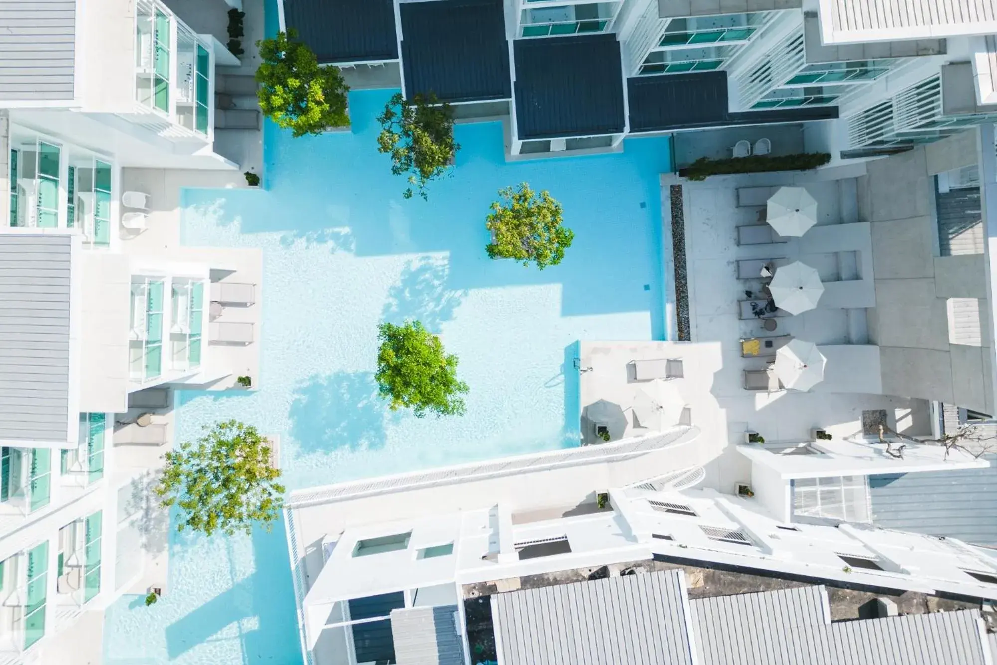 Swimming pool in Prima Hotel Pattaya Swimming pool in Prima Hotel Pattaya