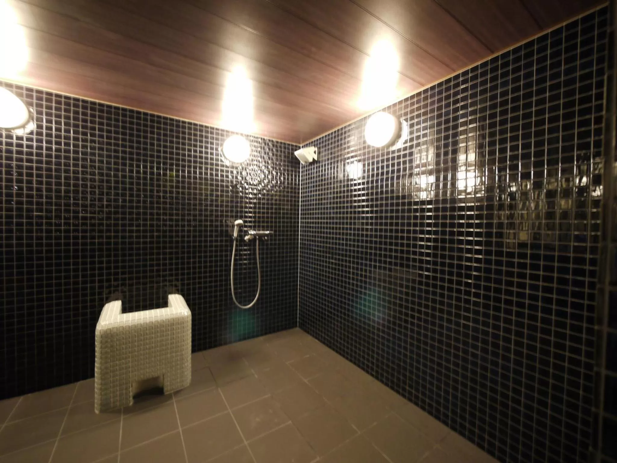 Public Bath in Himeji Castle Grandvrio Hotel