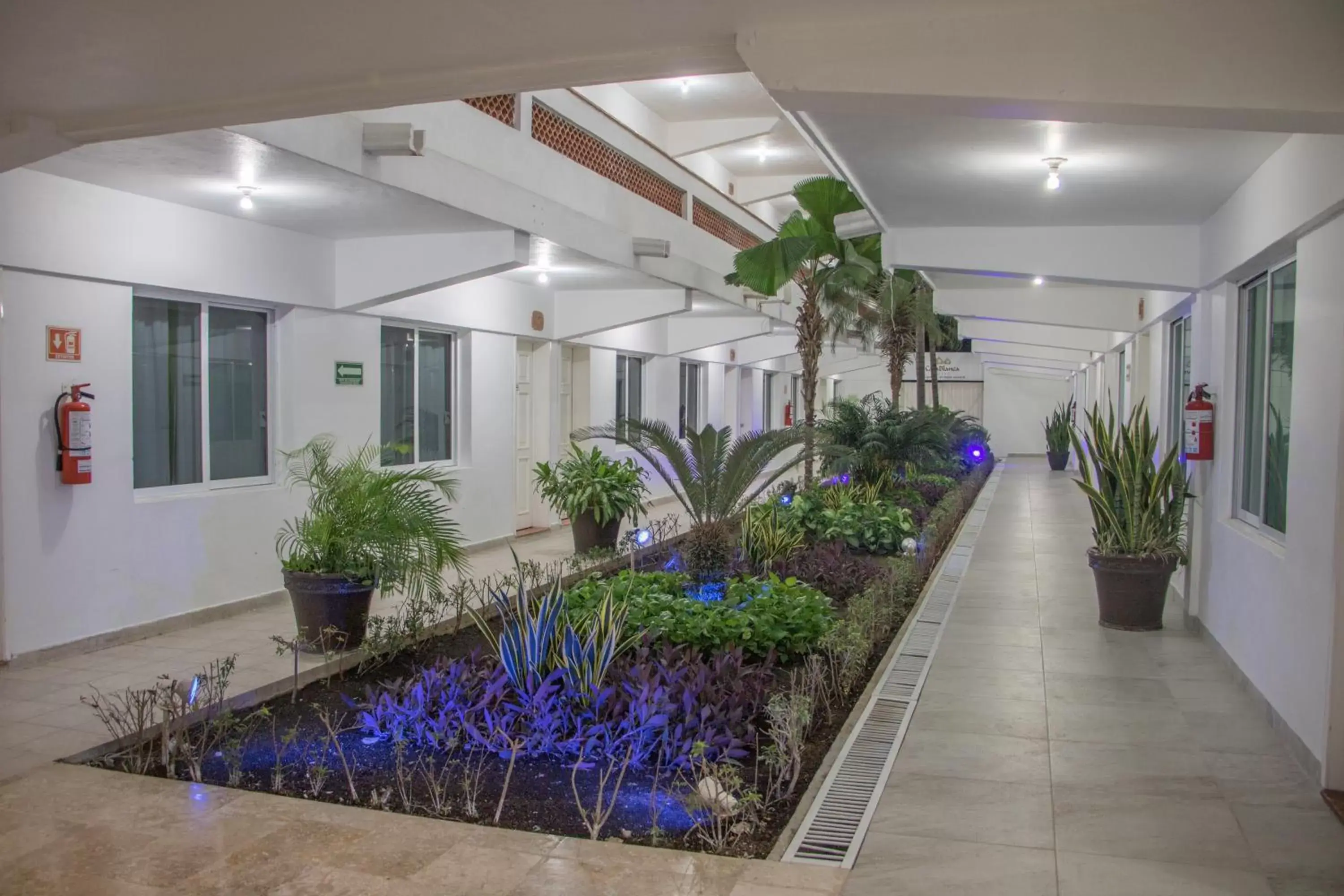 Garden view in Hotel Casa Blanca