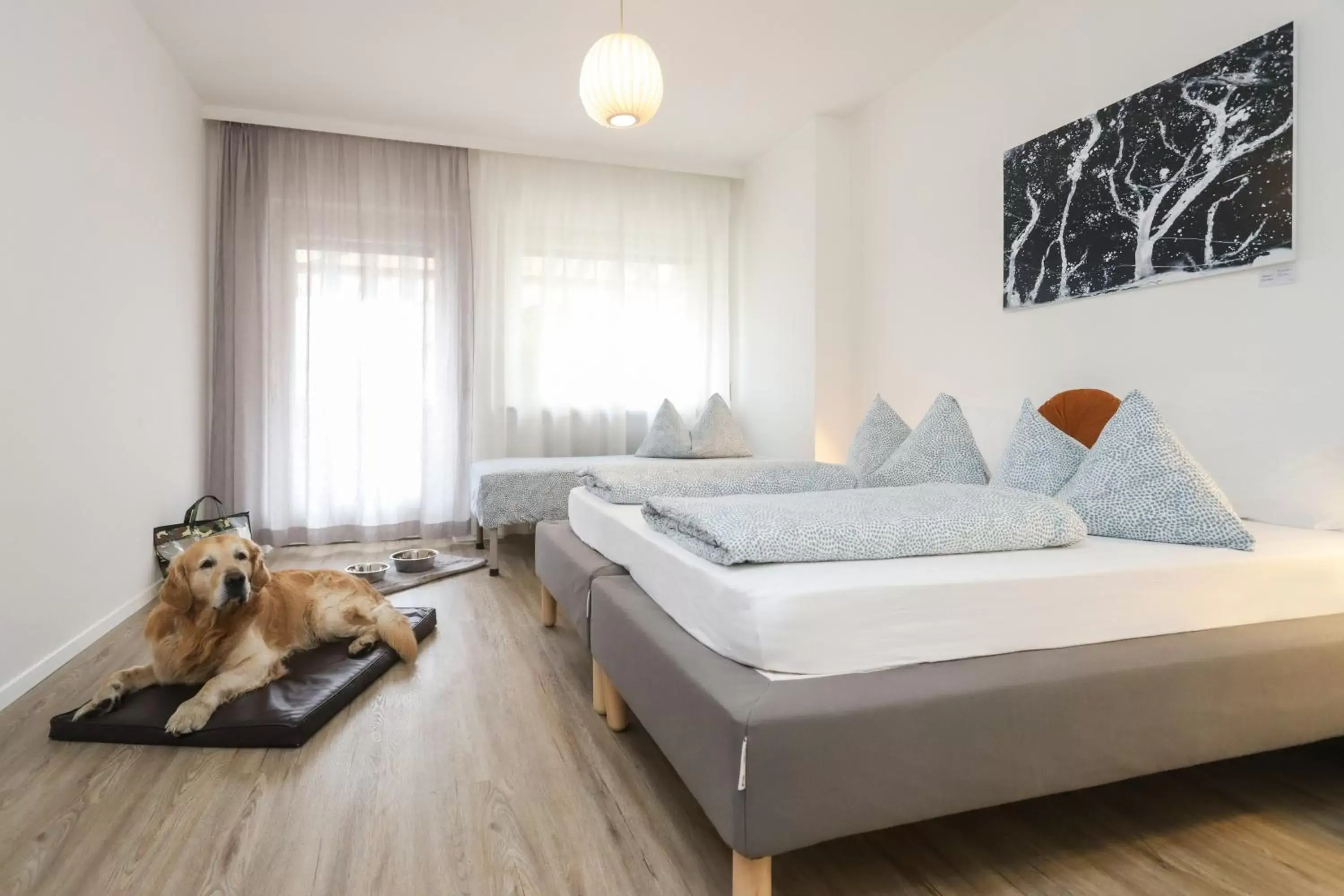 Pets, Bed in Albergo Gasthof Salurn