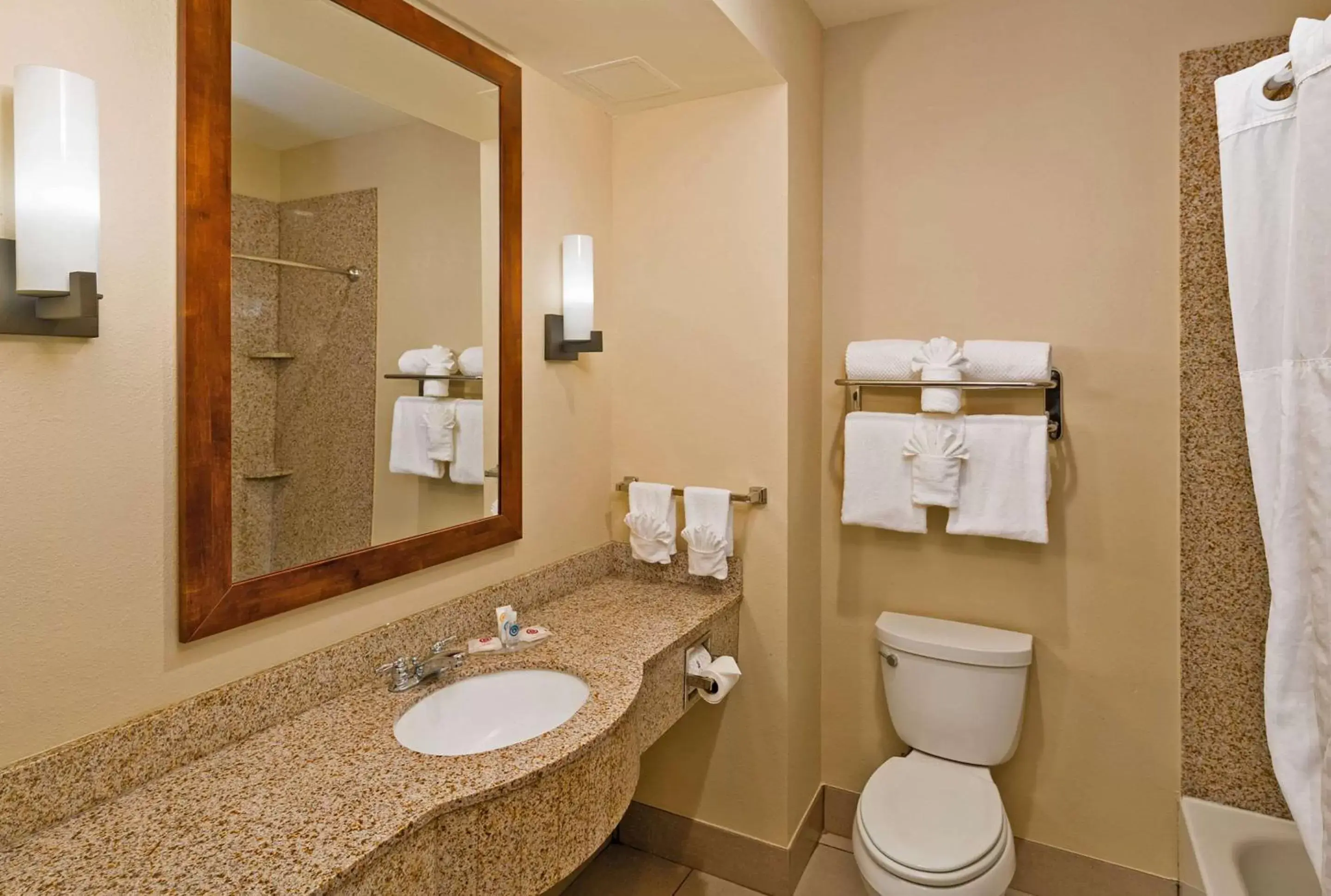 Bathroom in Comfort Inn & Suites - Fort Gordon