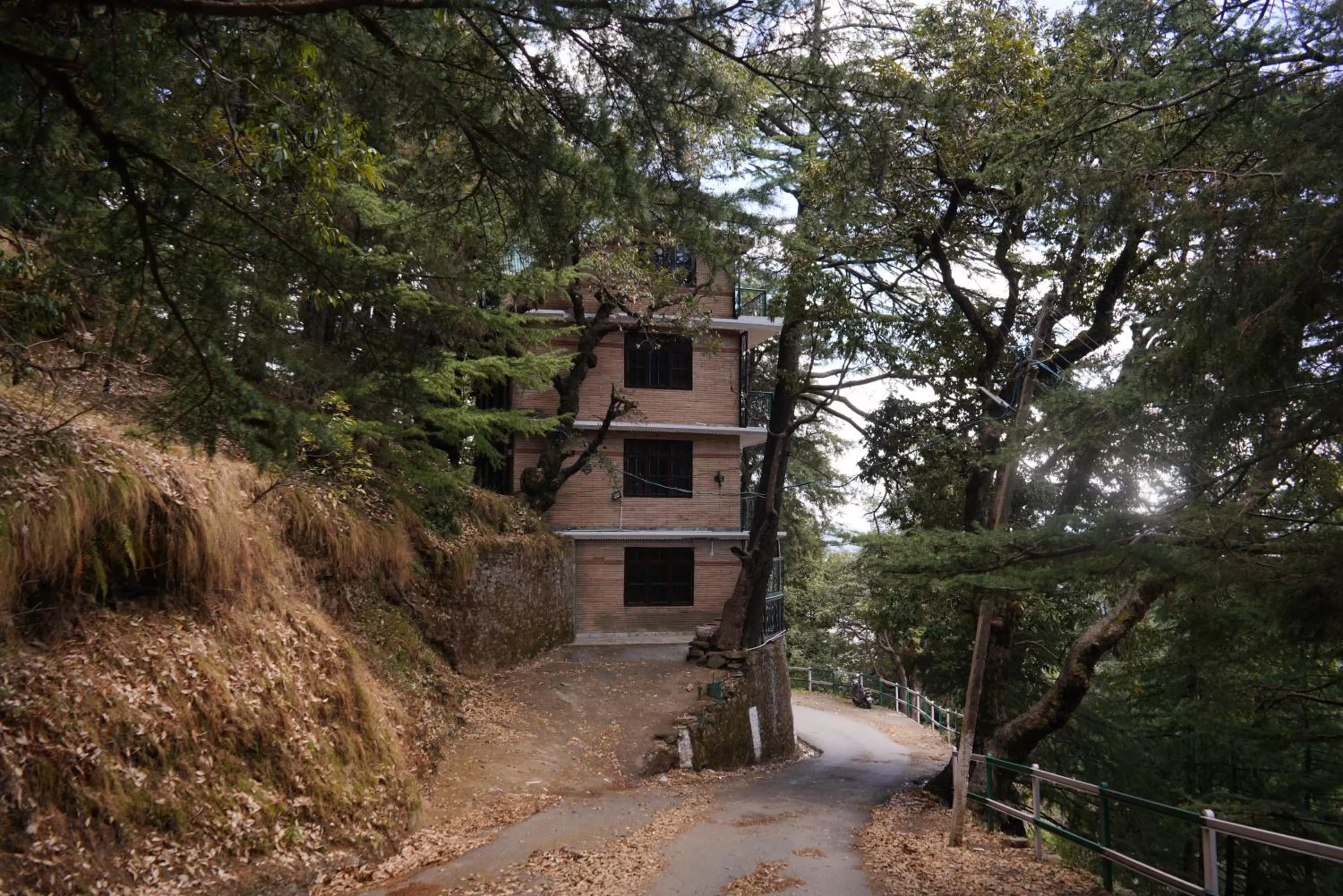 Property building in Jakhu Vibes