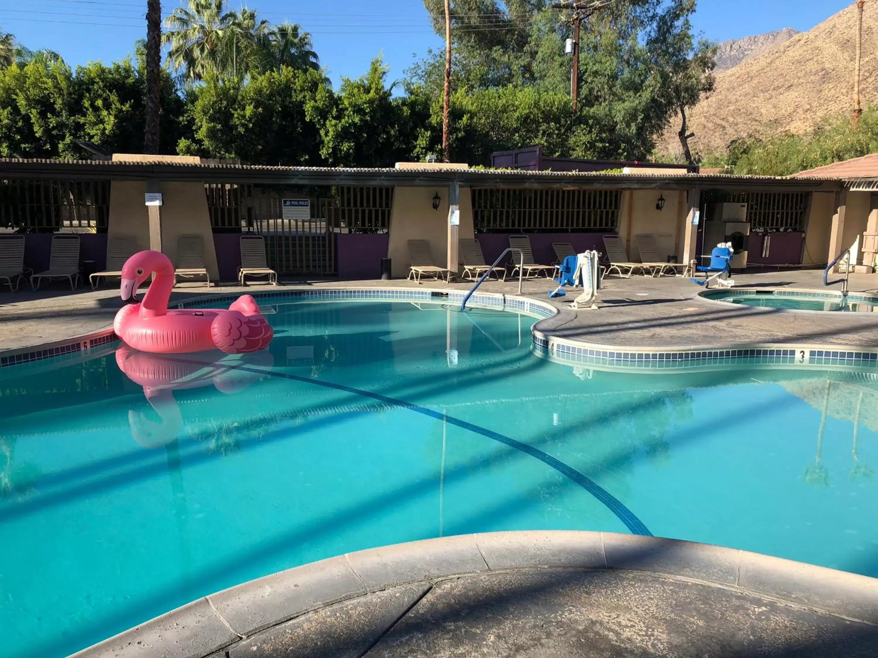 Swimming Pool in Vagabond Motor Hotel - Palm Springs