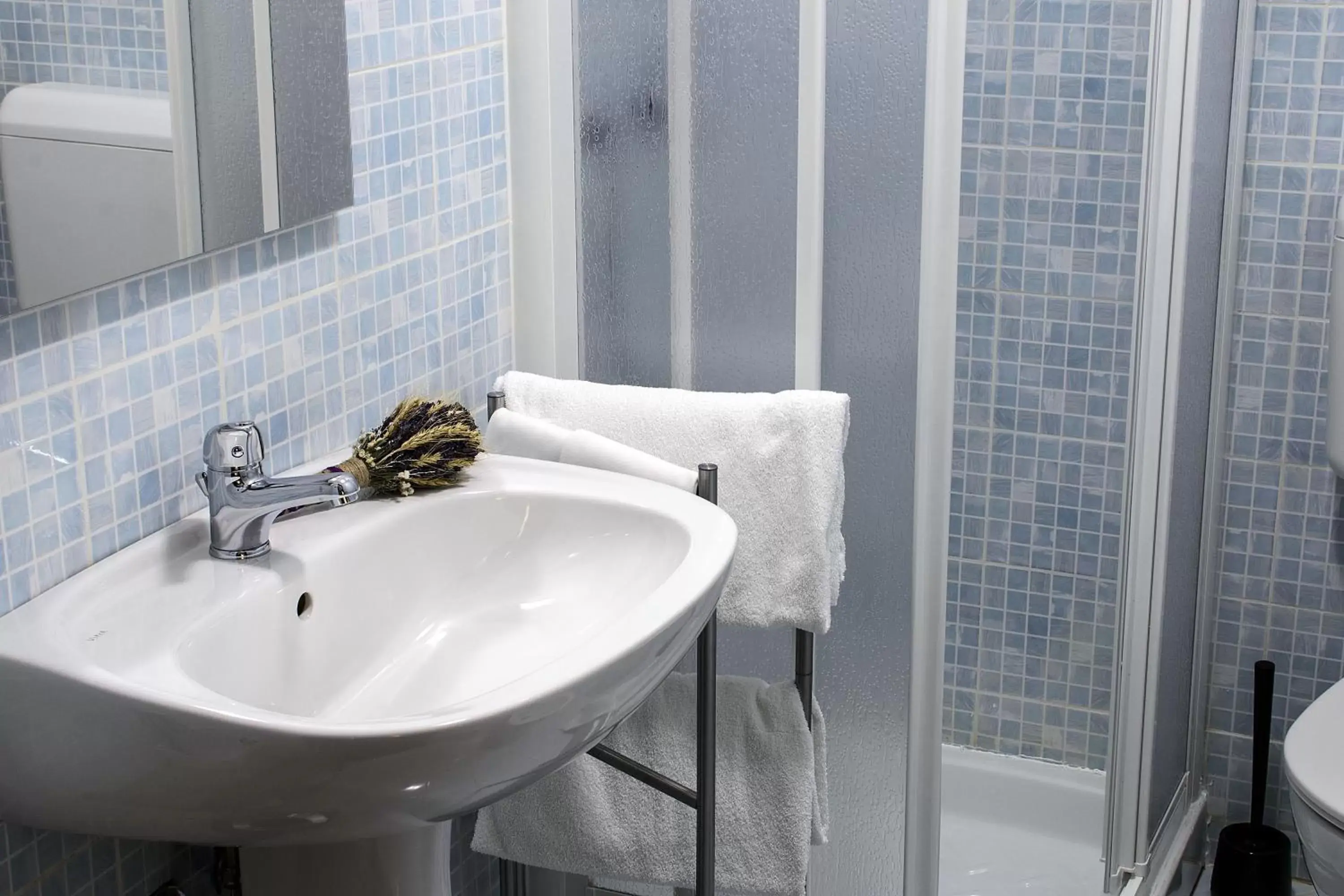 Shower, Bathroom in Hotel Torino Porta Susa