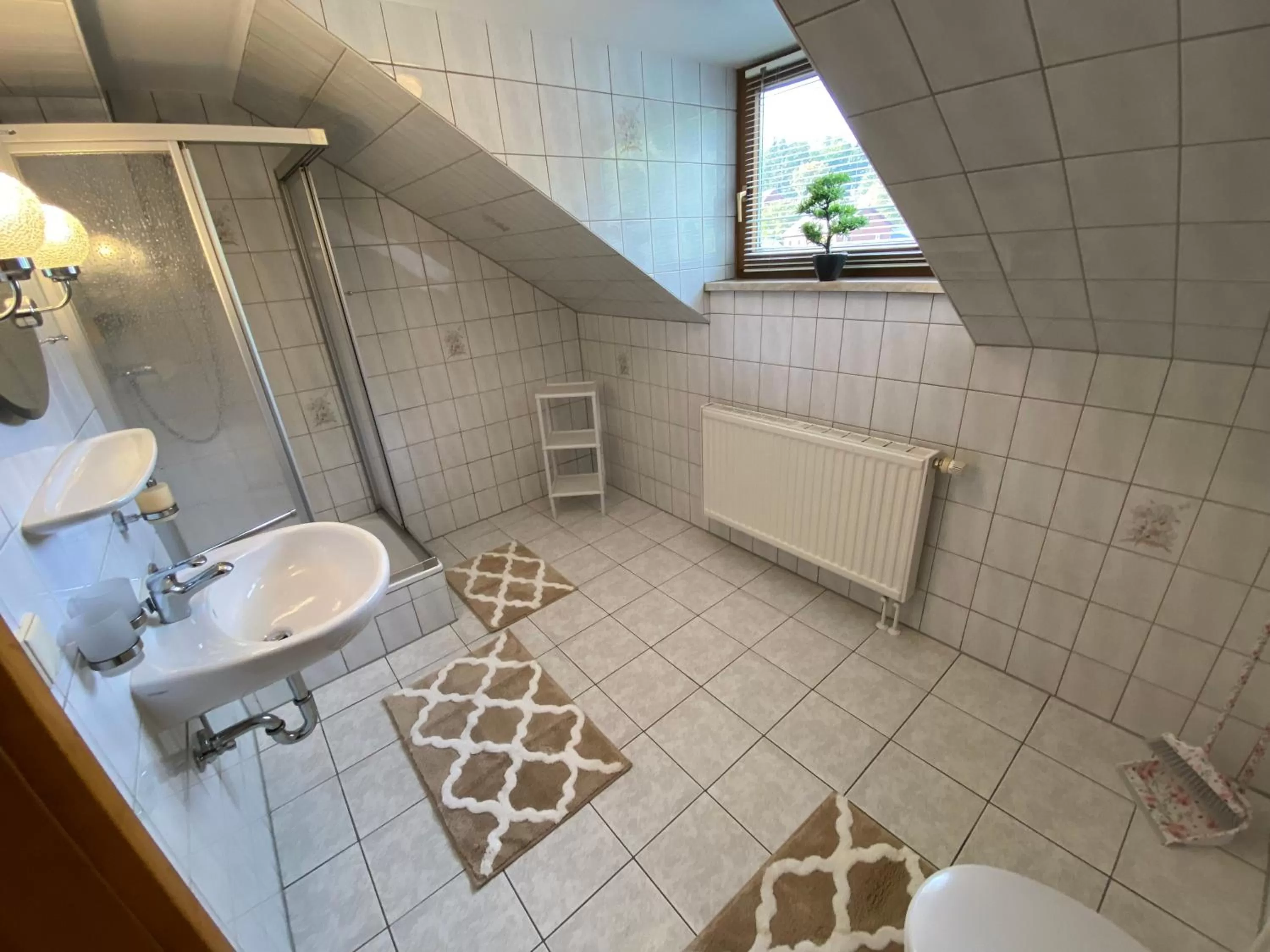 Shower in Hotel Bielatal