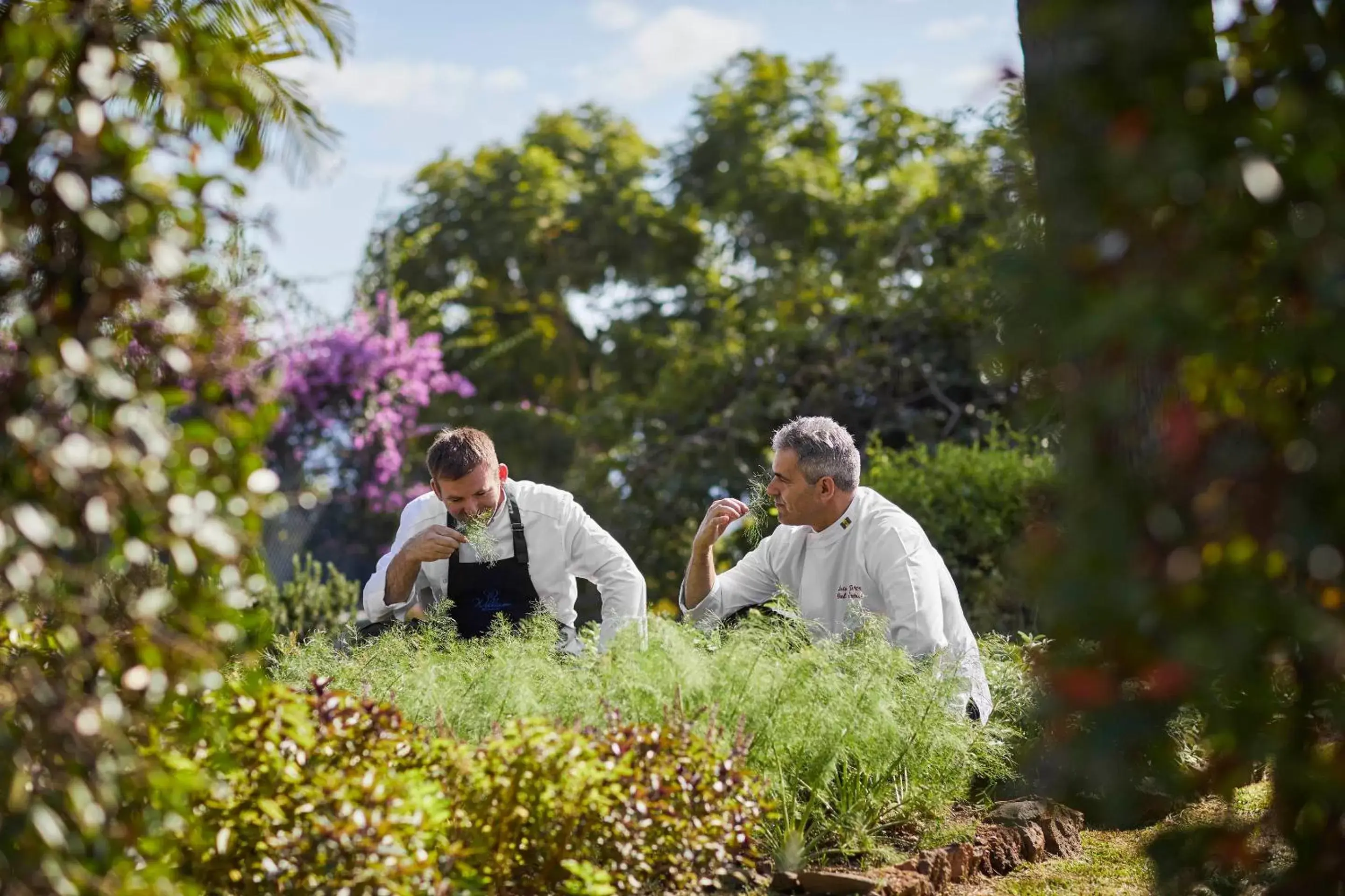 Garden in Reid's Palace, A Belmond Hotel, Madeira