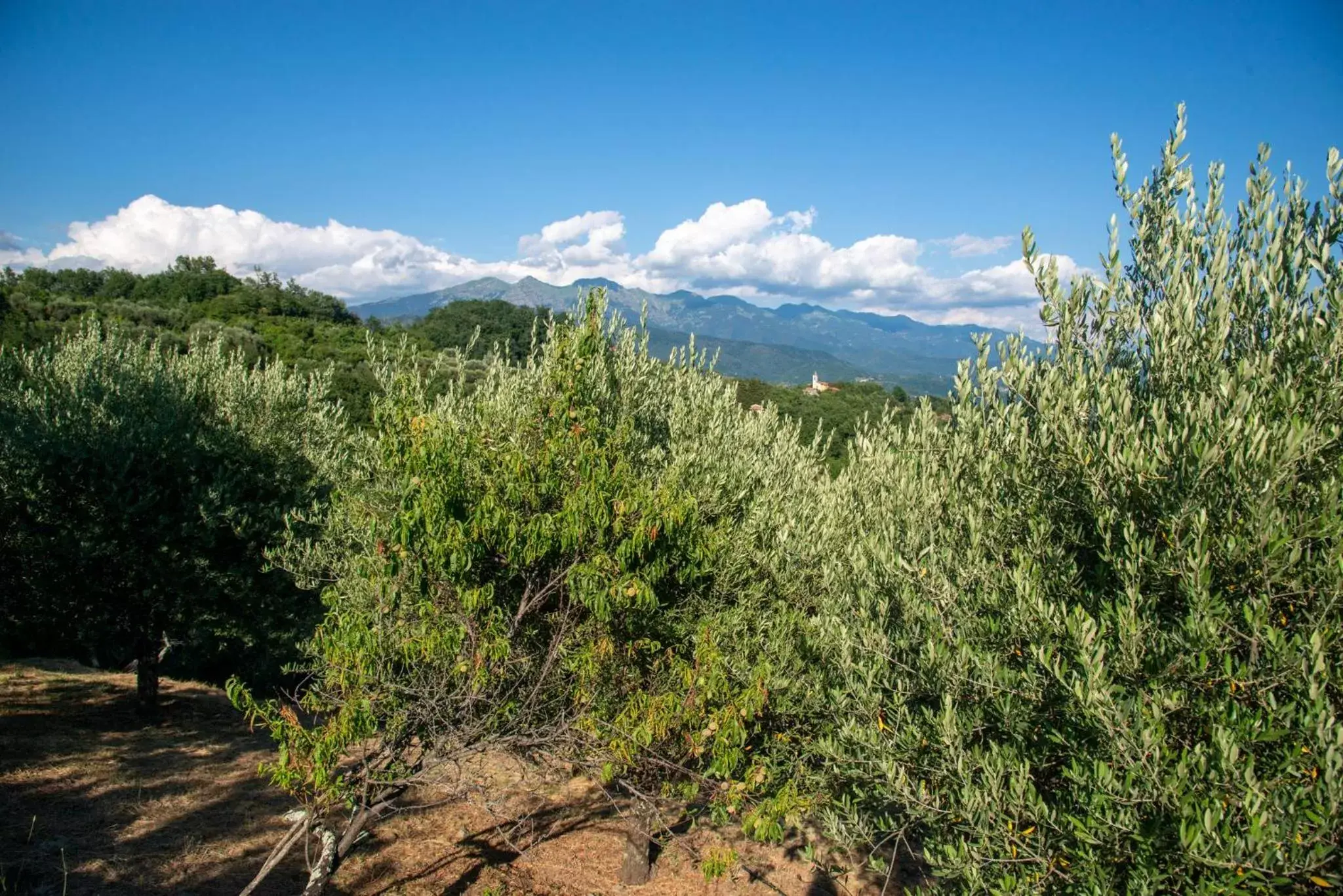 Mountain View in La Beppa - Casa Vacanza