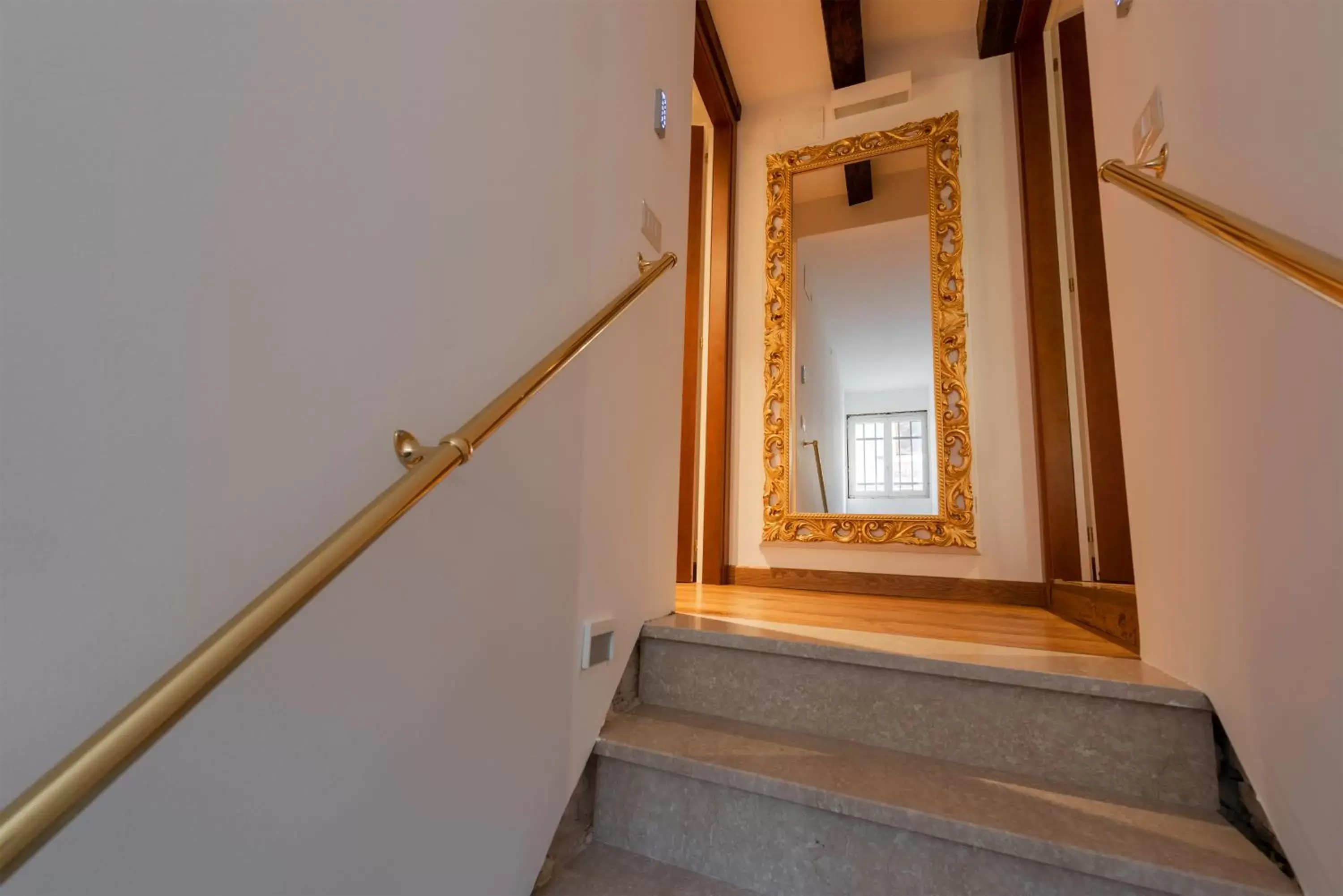 Area and facilities in Hotel Giorgione