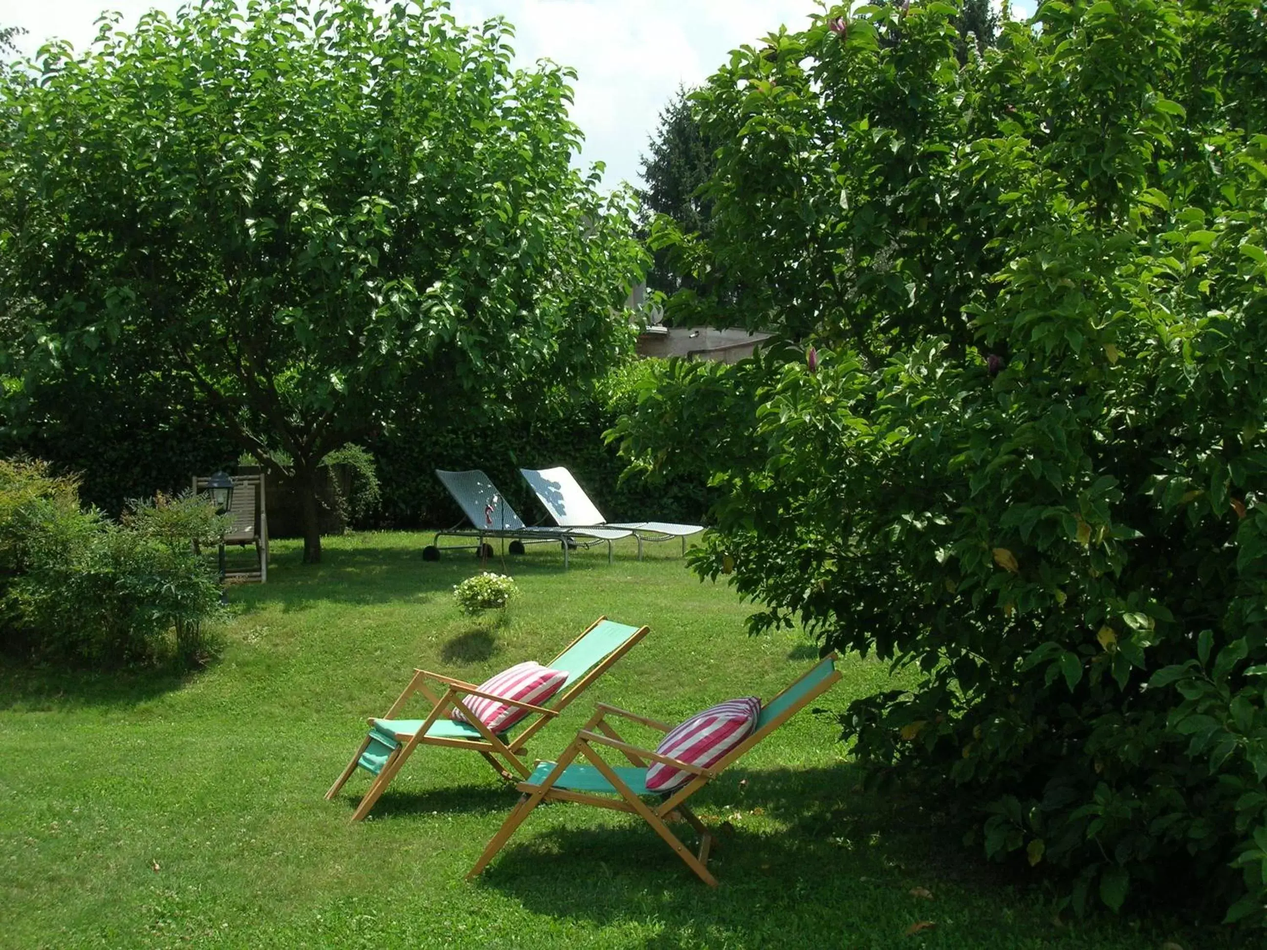 Garden, Patio/Outdoor Area in Olive Tree Hill