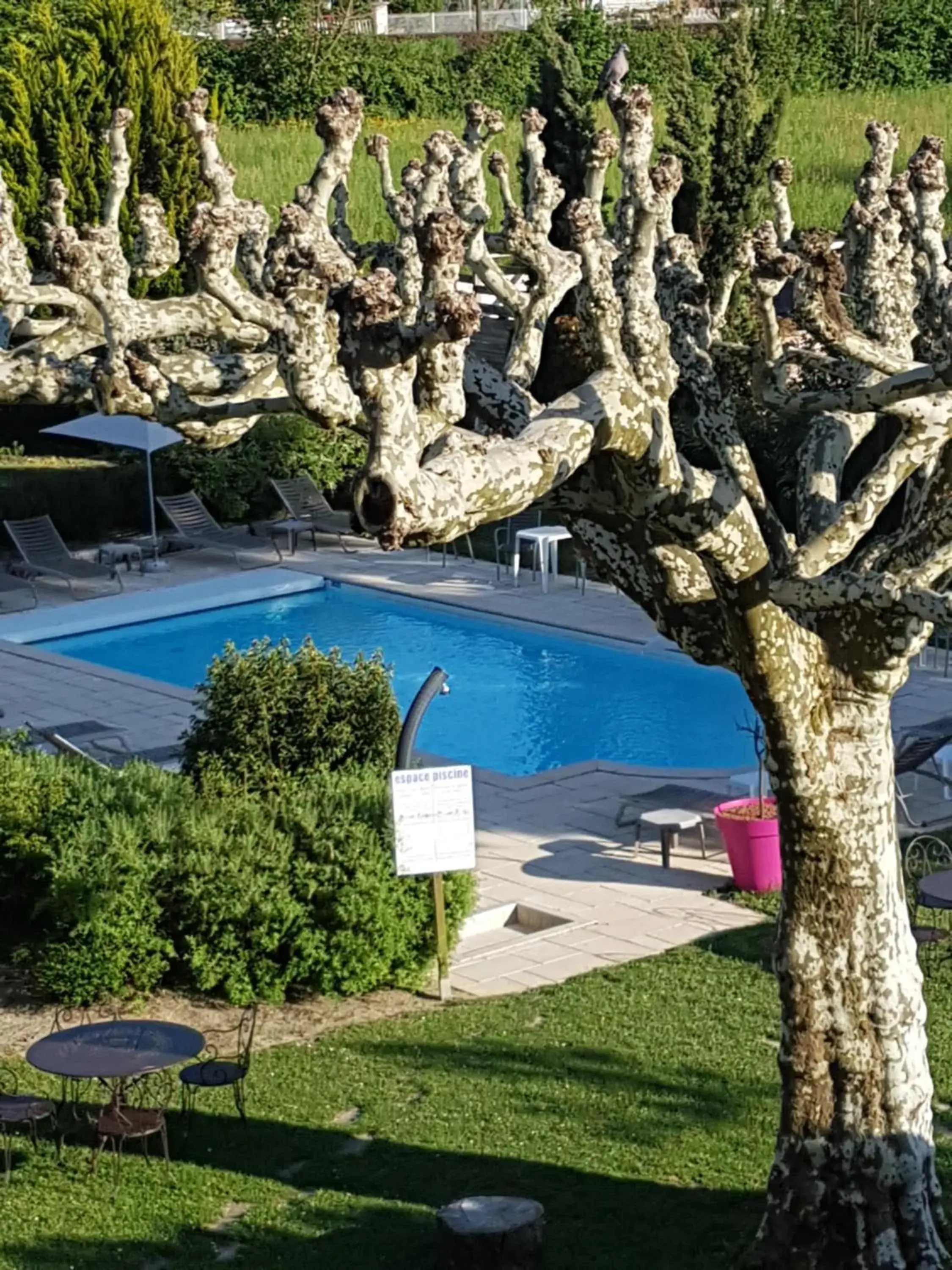 Natural landscape, Swimming Pool in Logis Auberge Saint Simond