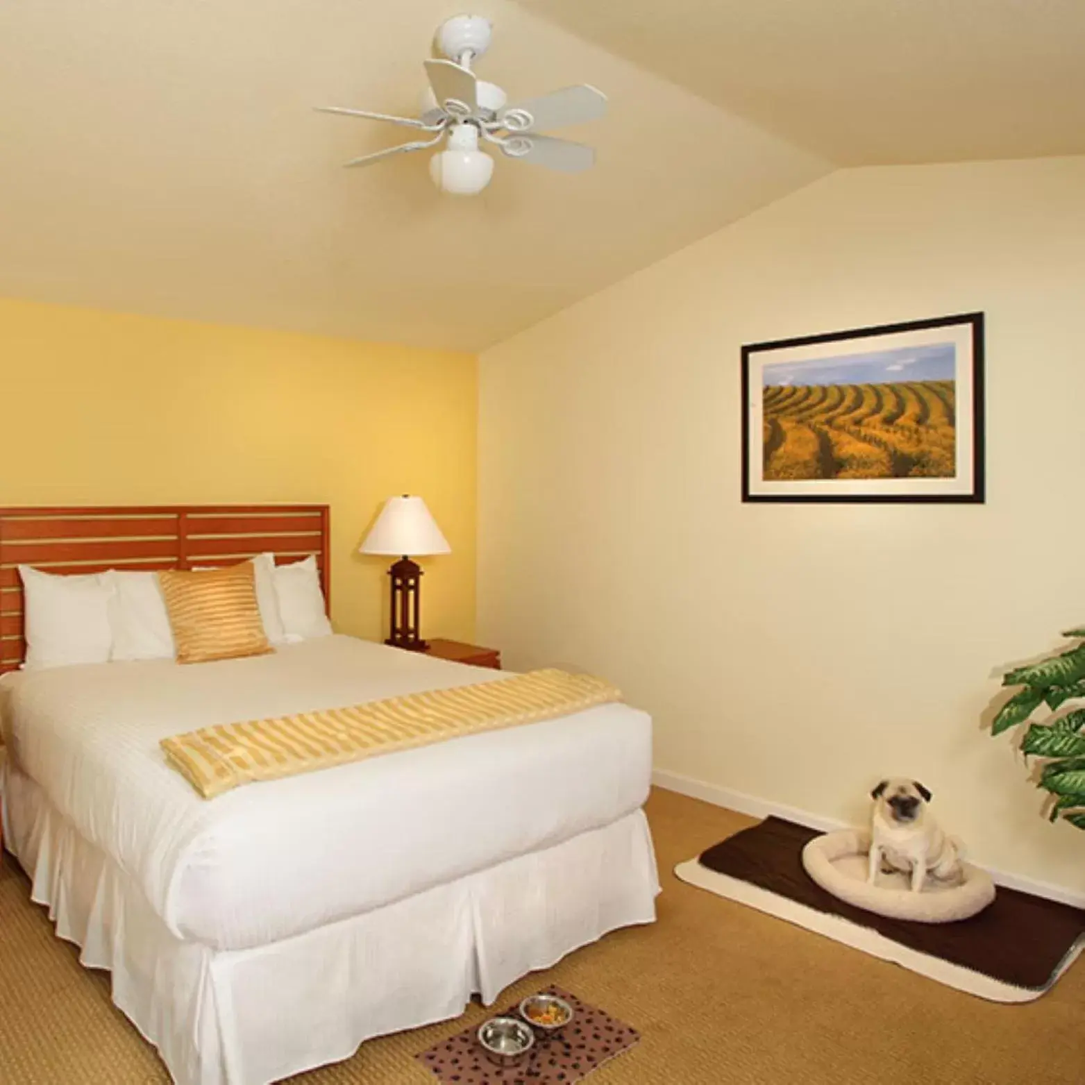 Photo of the whole room, Bed in West Sonoma Inn & Spa