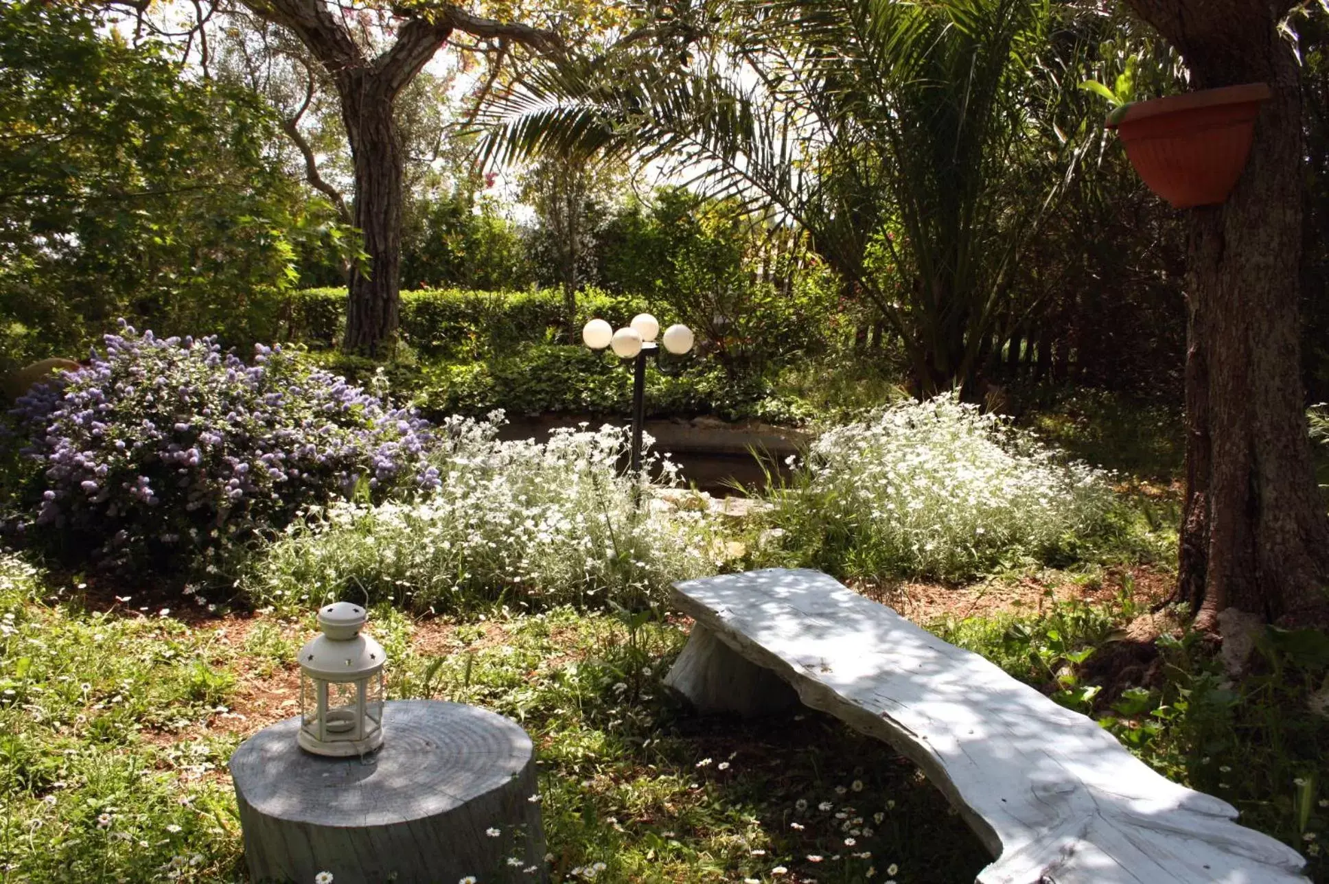 Garden in La Cascata