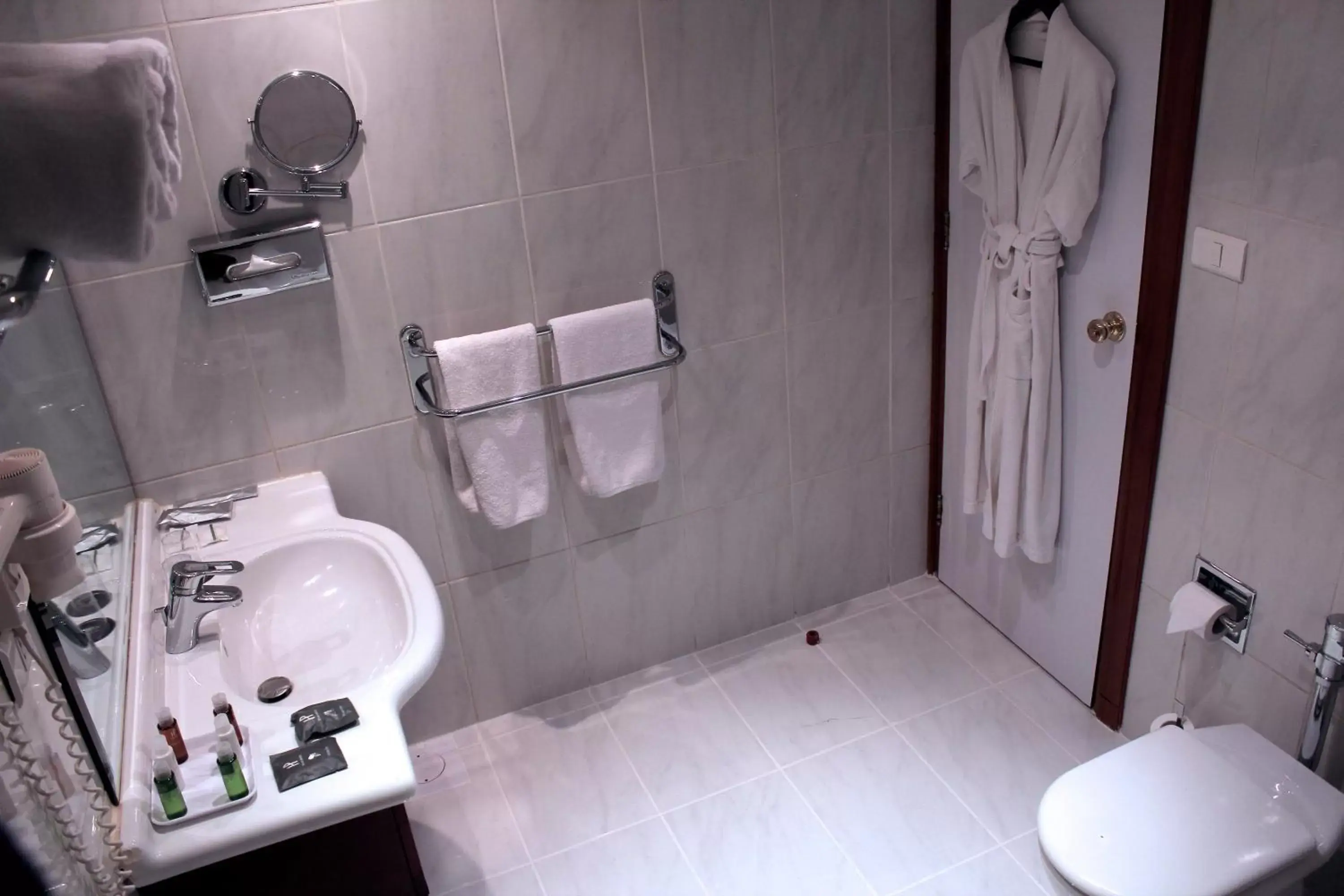 Toilet, Bathroom in Plaza Hotel Beirut