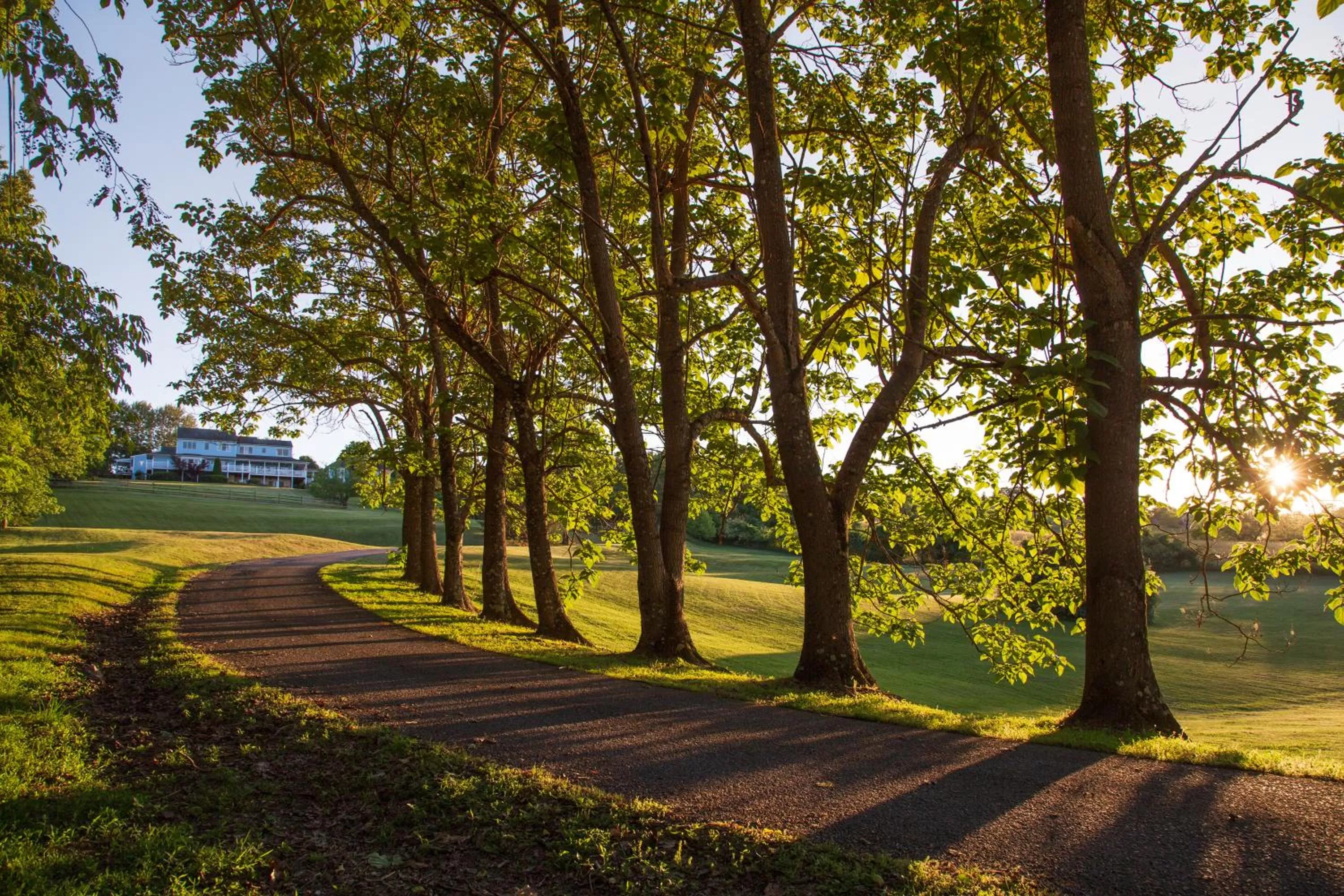 Garden in Brierley Hill Bed & Breakfast