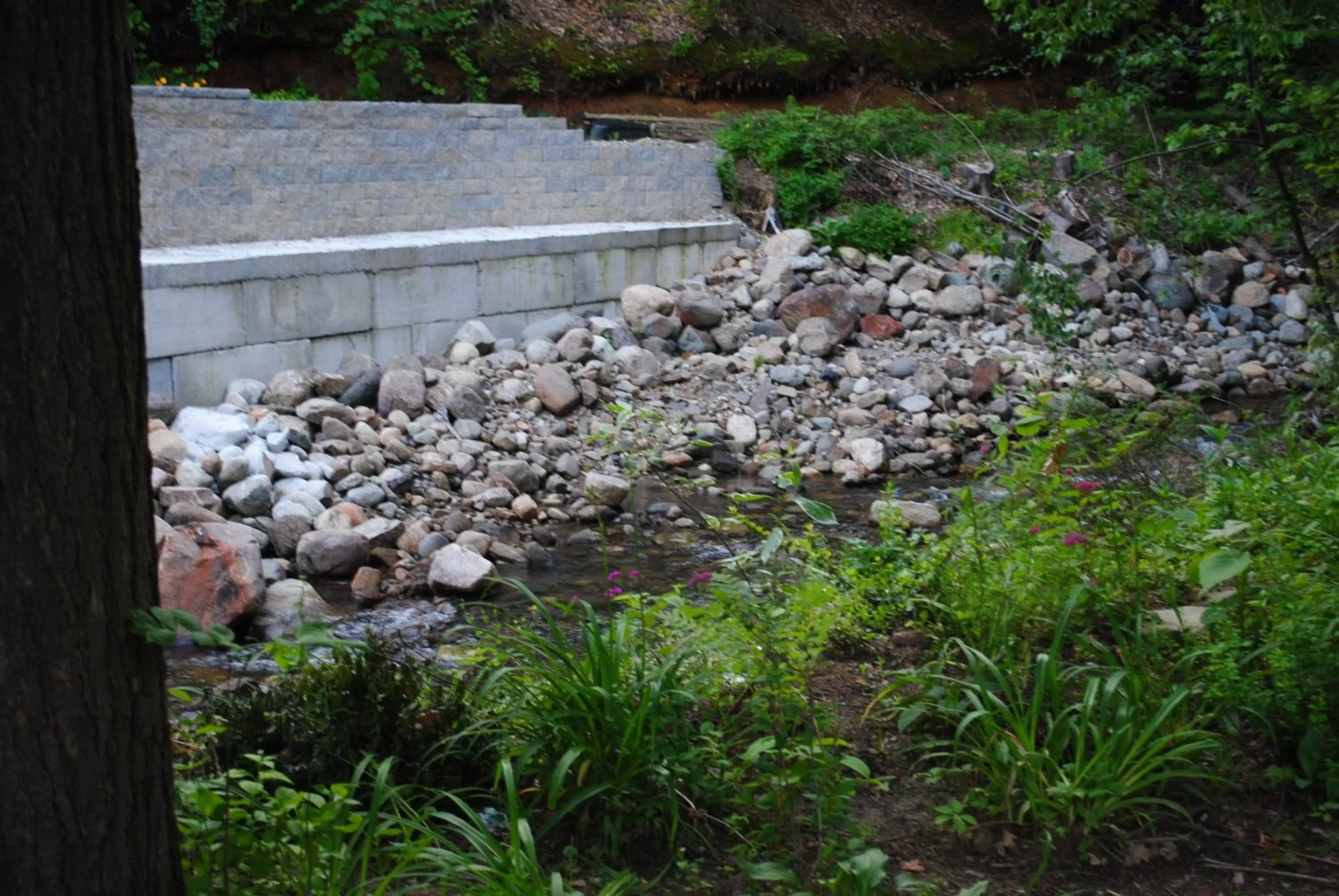 Day in Fran Cove Motel