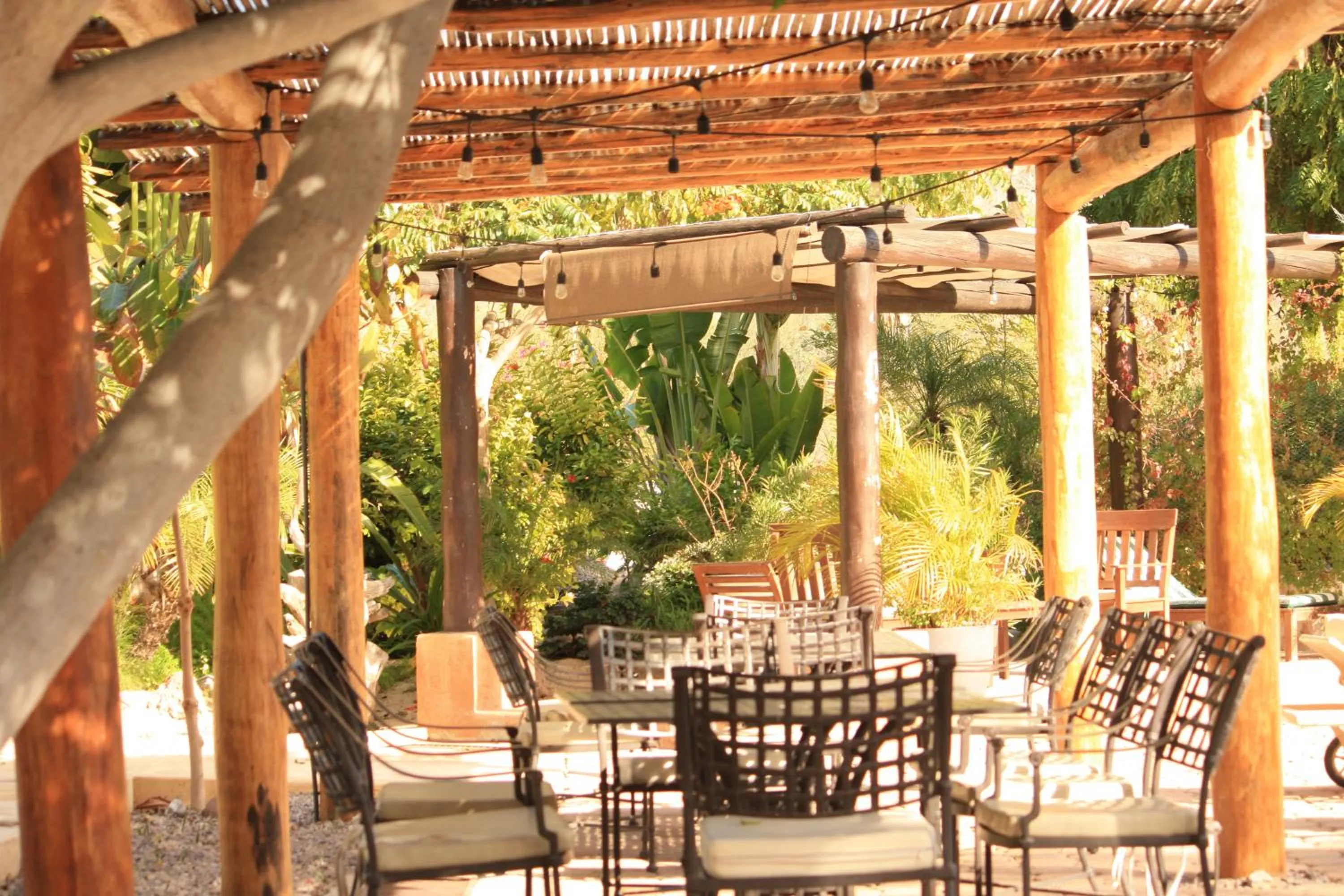 Restaurant/places to eat in Tripui Hotel