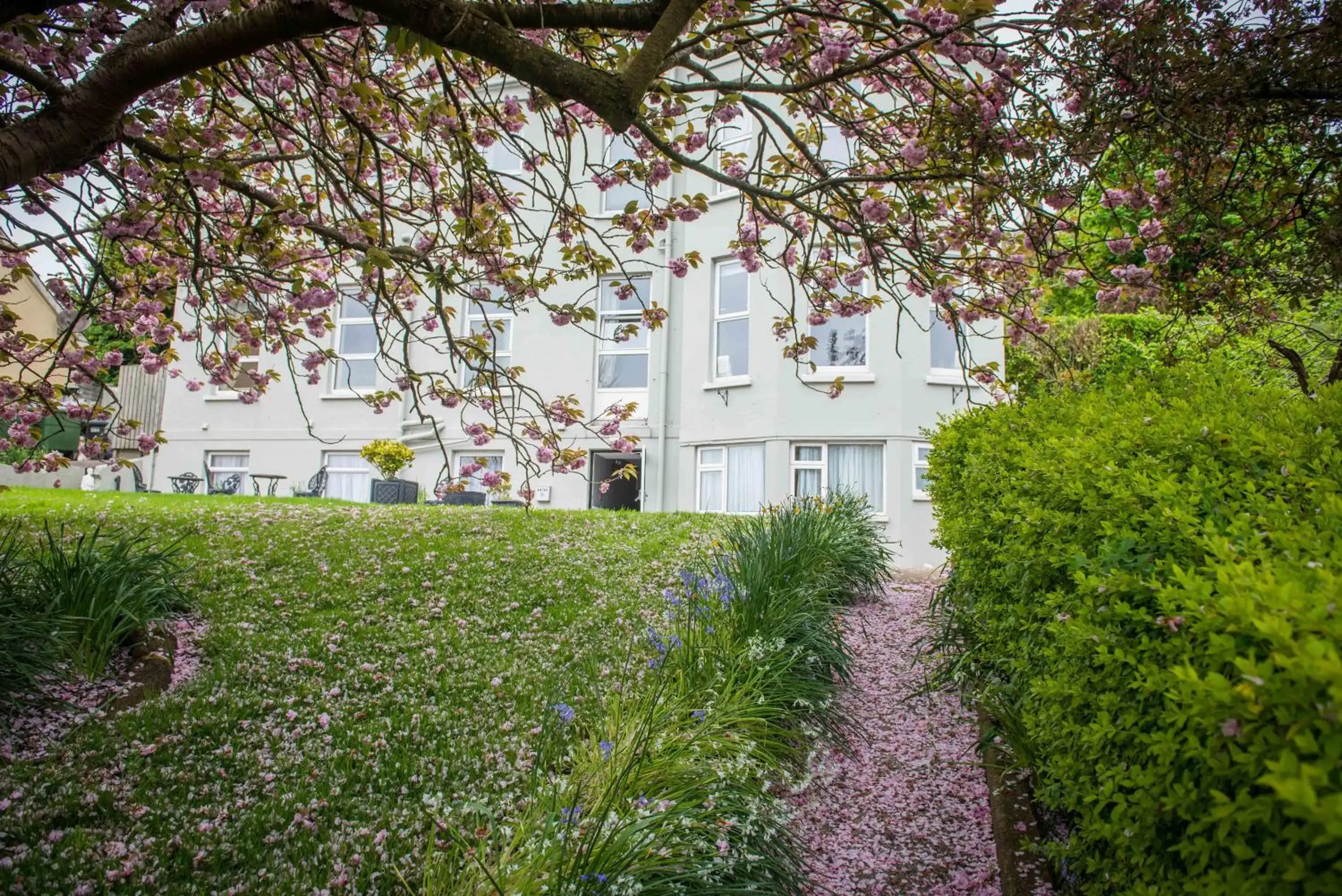 Garden, Property Building in Gabriel House Guesthouse