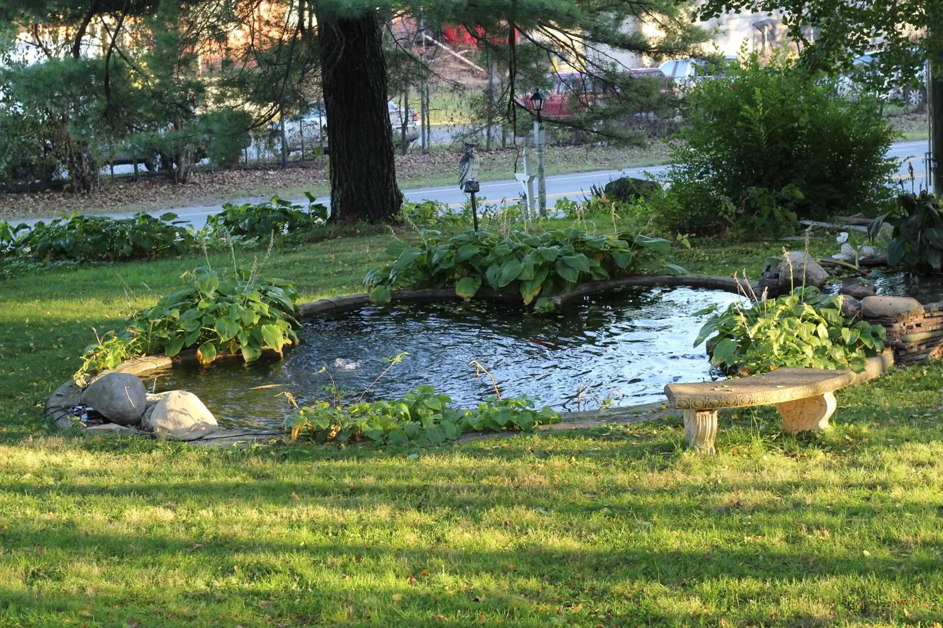 Natural landscape, Garden in The Emig Mansion