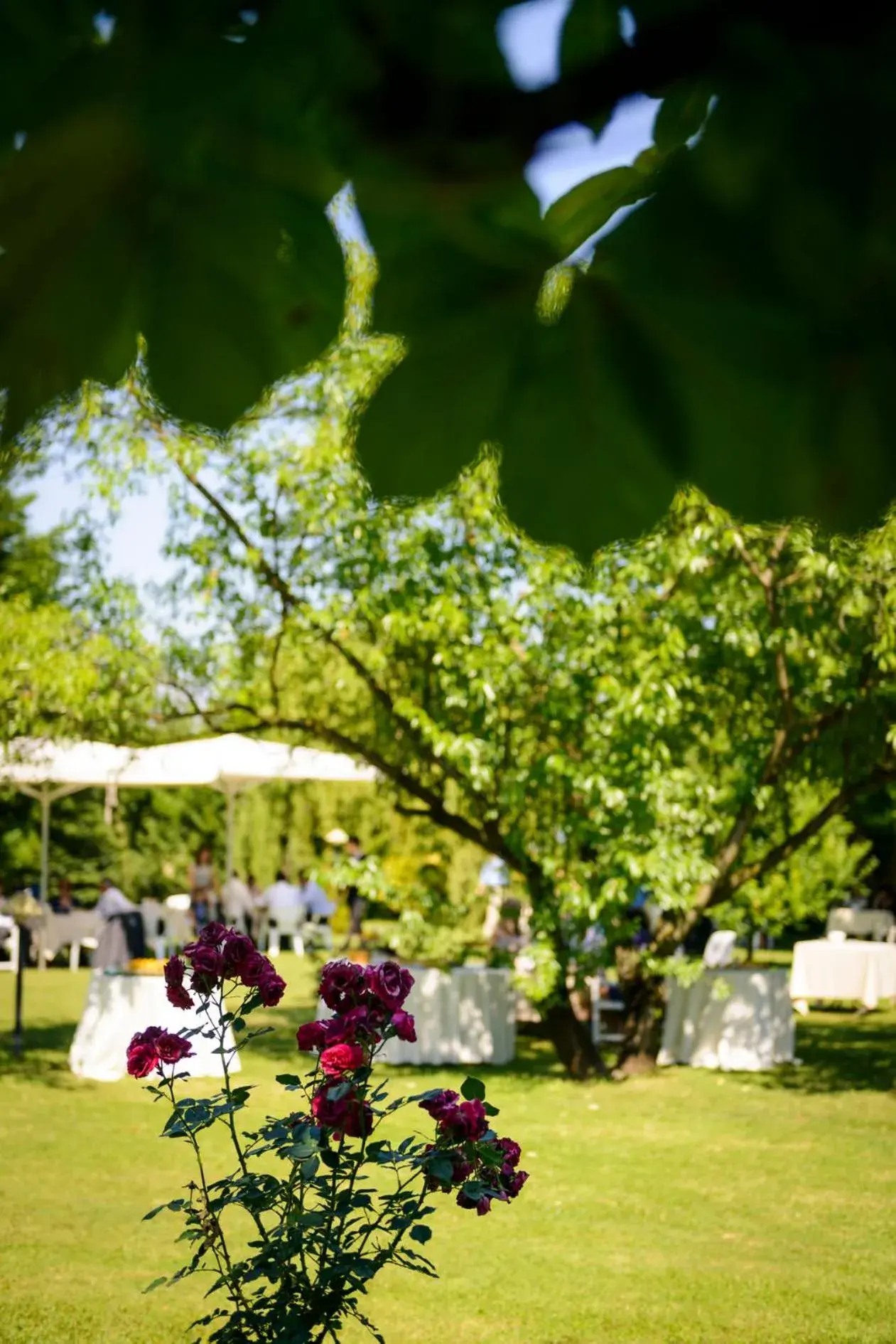 Garden in Relais Leon d'Oro