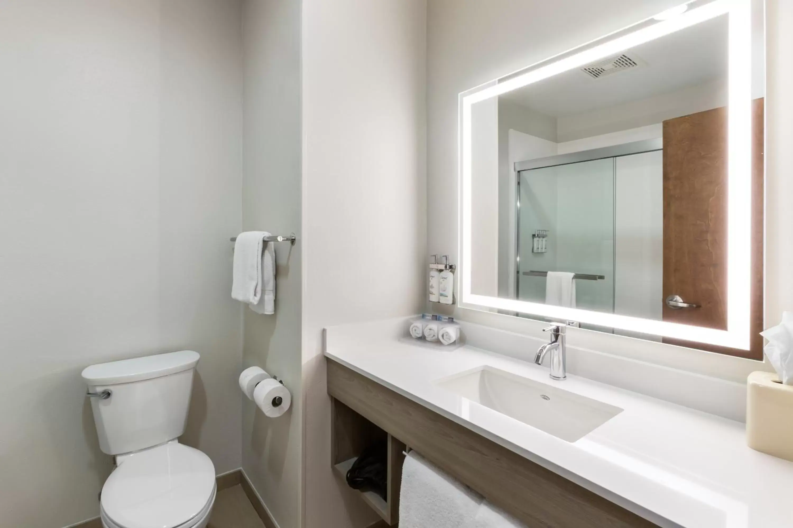 Bathroom in Holiday Inn Express Belgrade-Bozeman Area, an IHG Hotel