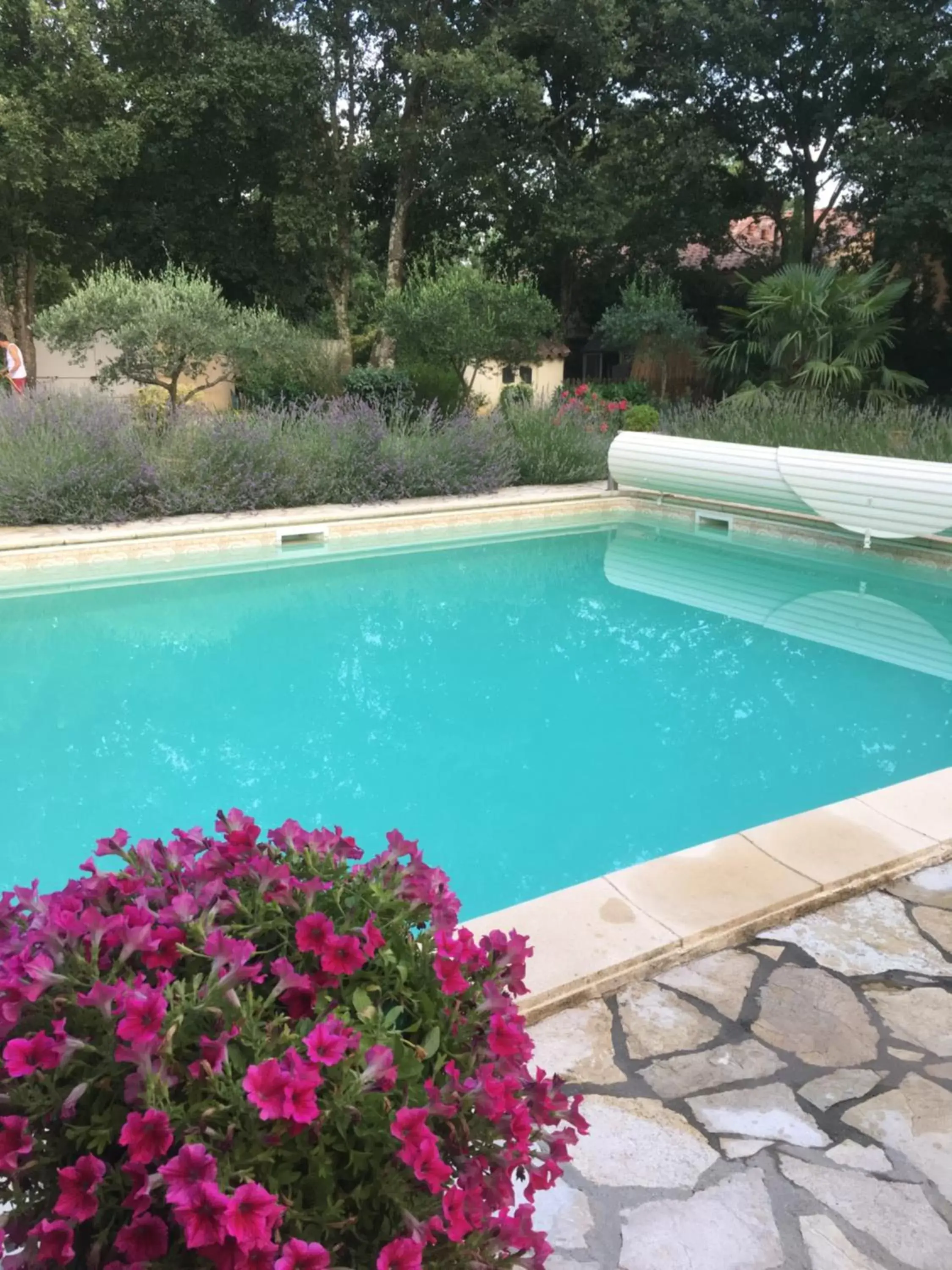 Swimming Pool in Chambre d'Hôte Couguiolet - avec piscine