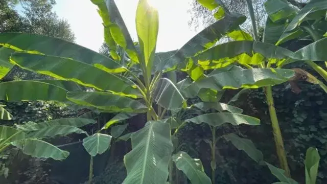 Natural landscape in Ai Giardini di San Vitale