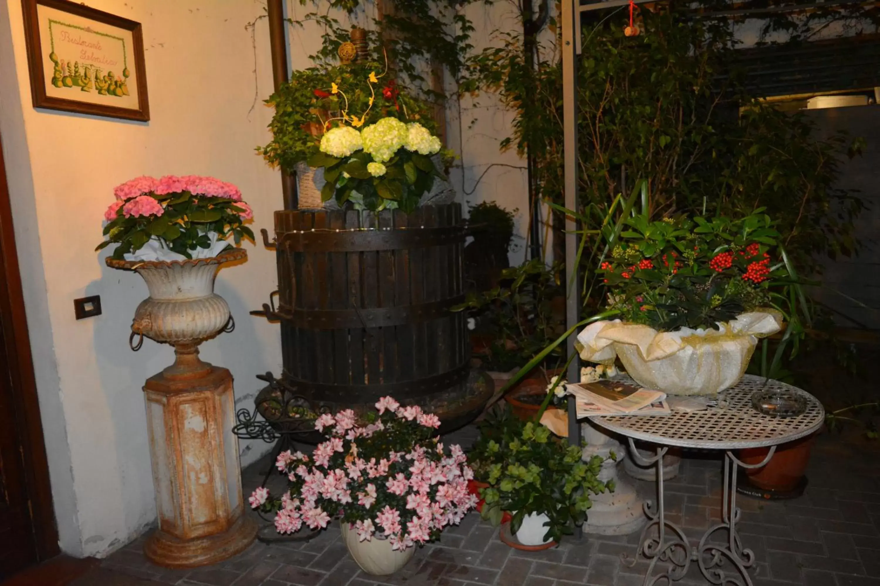 Patio/Outdoor Area in Albergo Selvatico