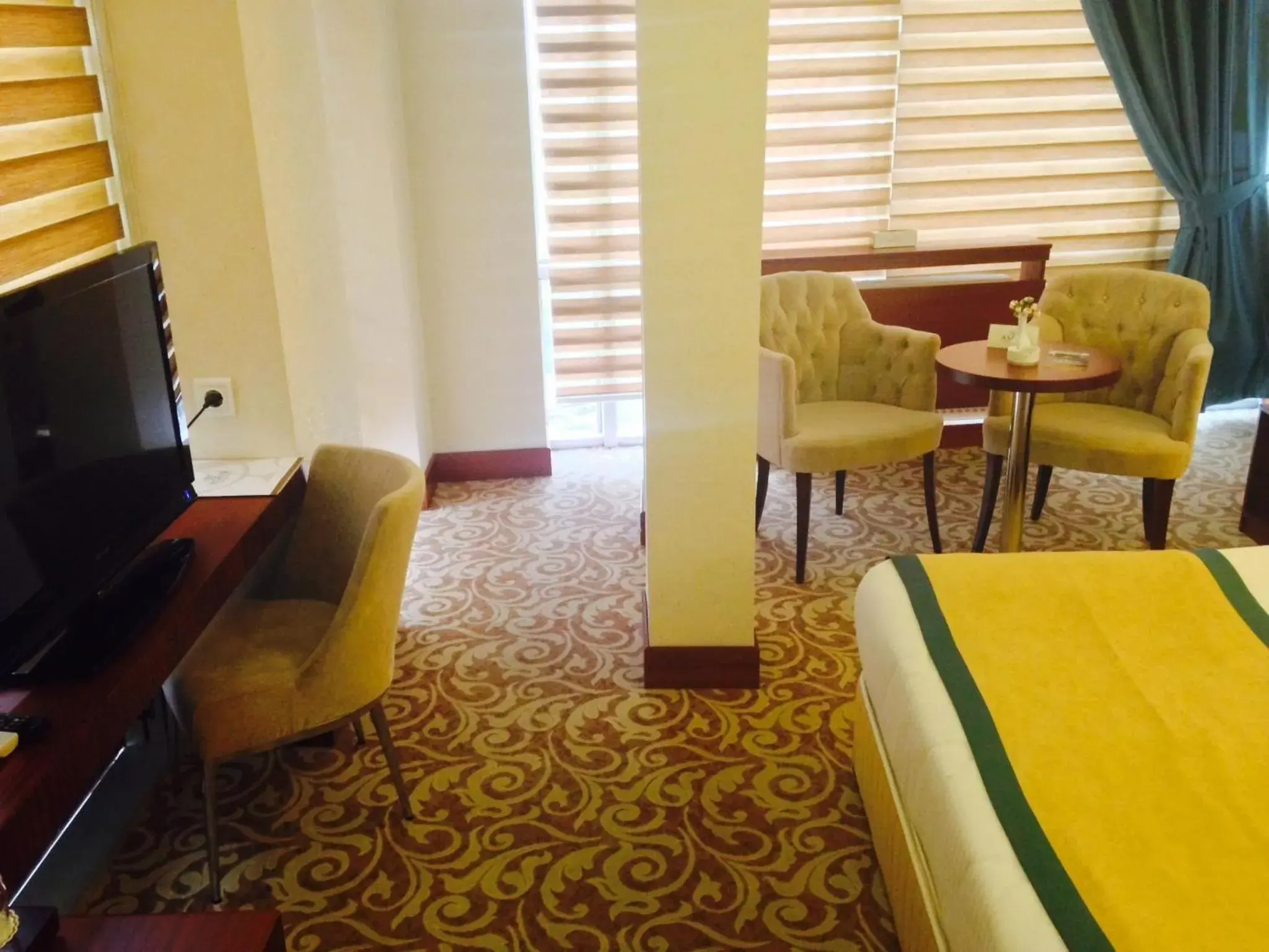 Photo of the whole room, Seating Area in Asrin Business Hotel K?z?lay