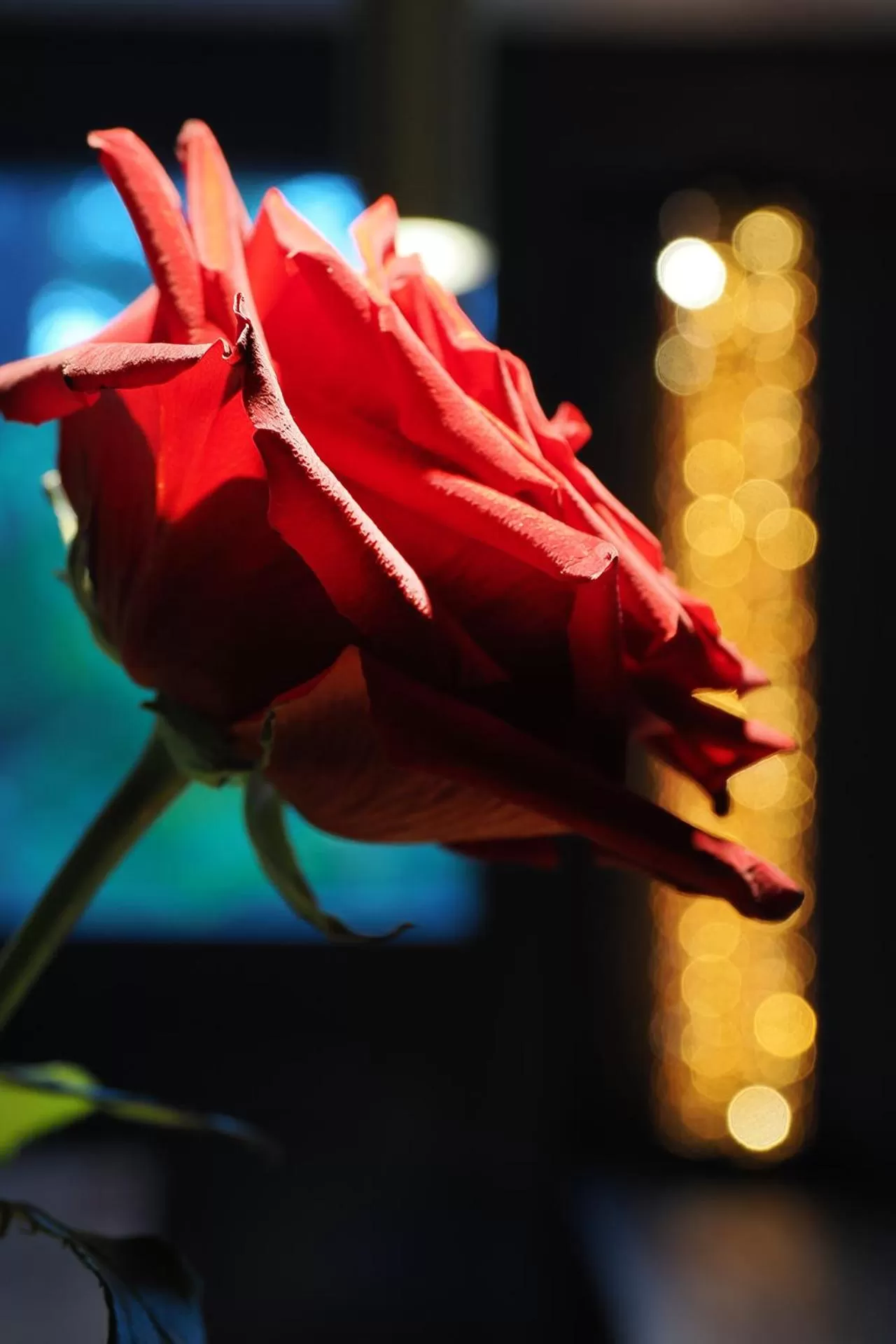 Decorative detail in Charme Hotel Ristorante Tre Terre