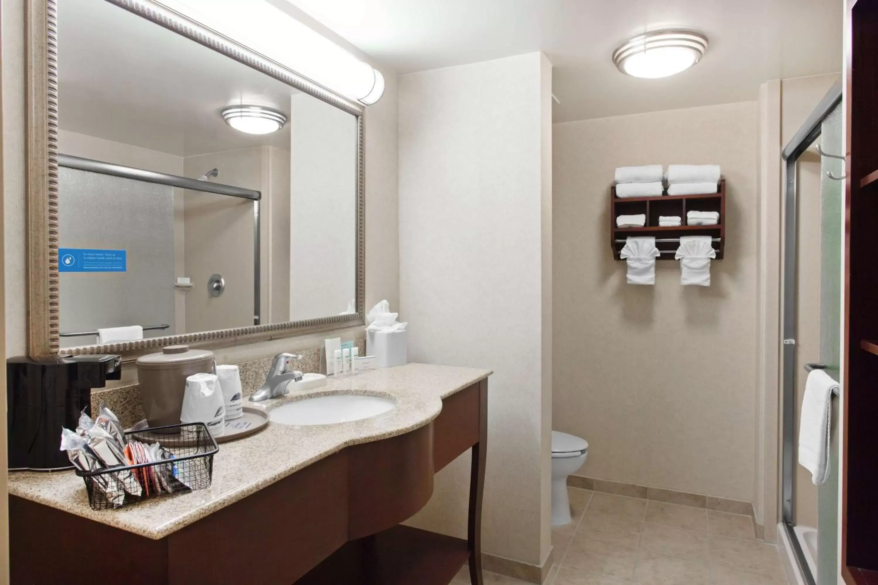 Bathroom in Hampton Inn & Suites Oakland Airport-Alameda