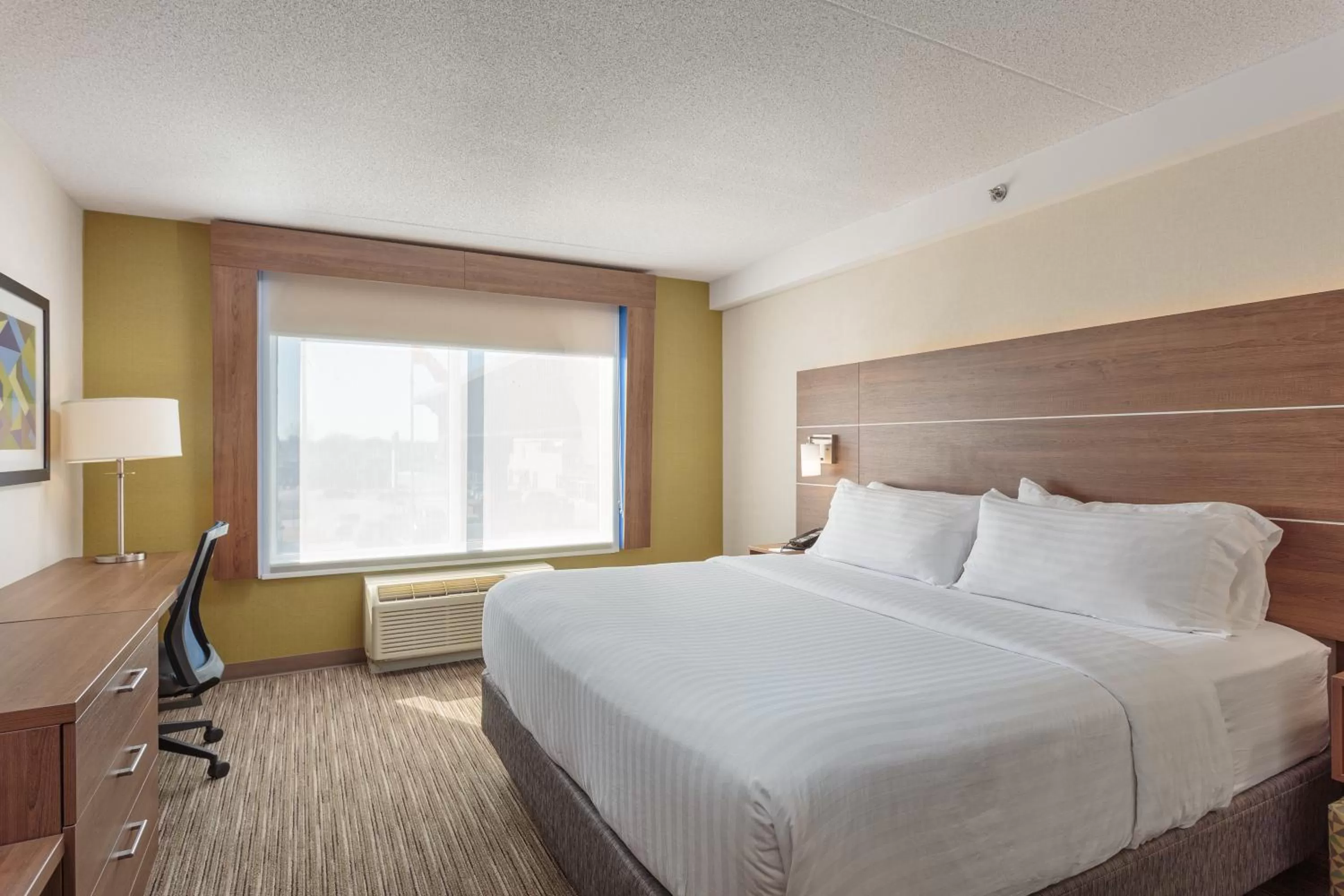 Photo of the whole room, Bed in Holiday Inn Express & Suites - Belleville by IHG