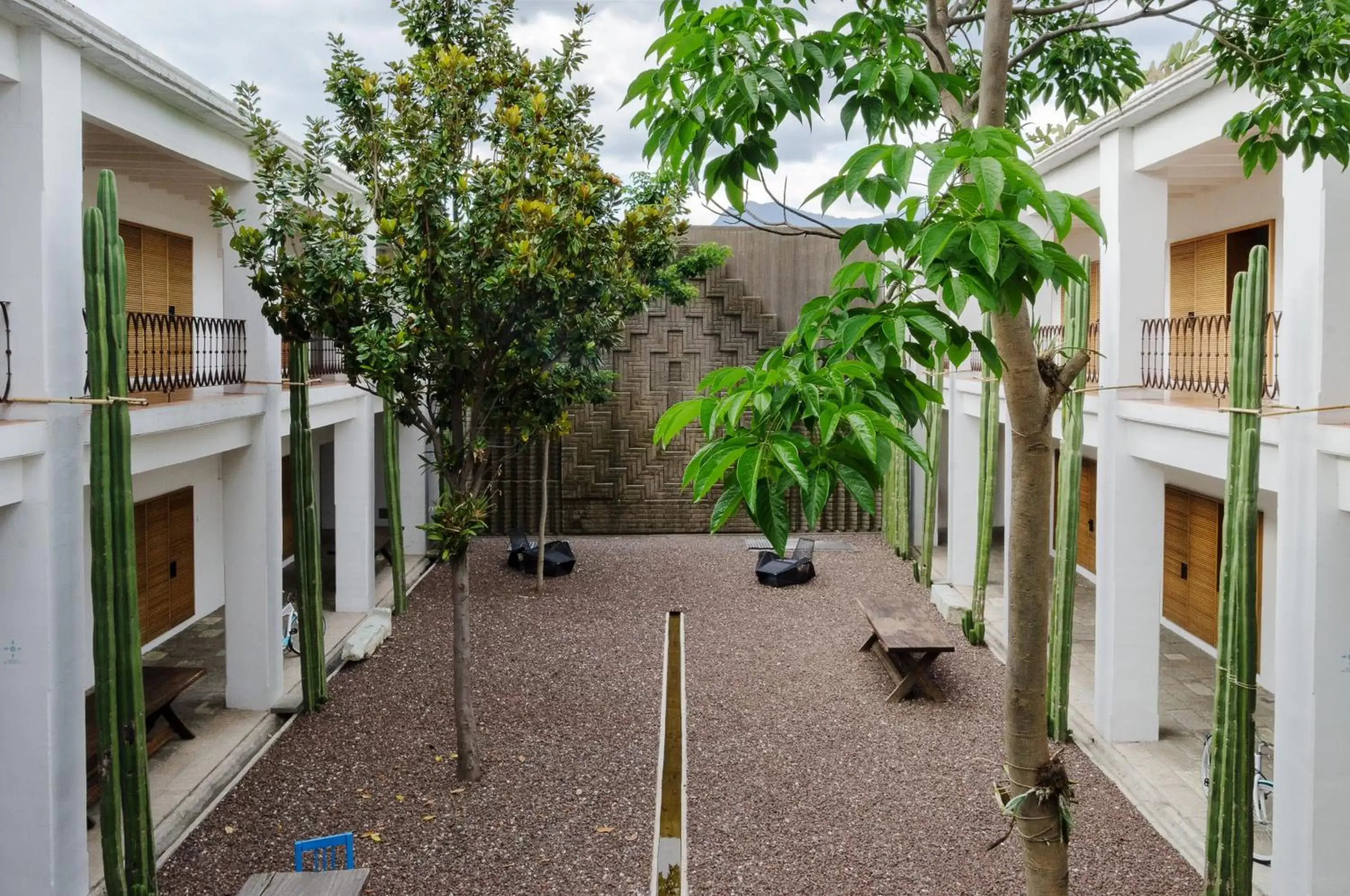 Garden in Hotel Azul de Oaxaca