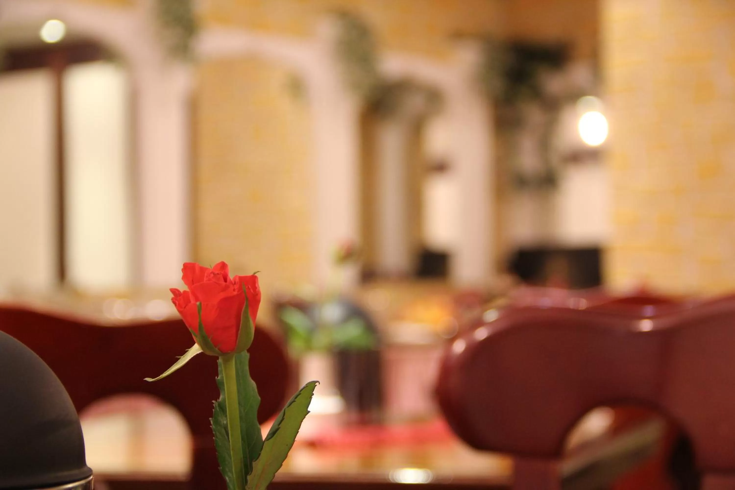 Decorative detail in Wali's Hotel