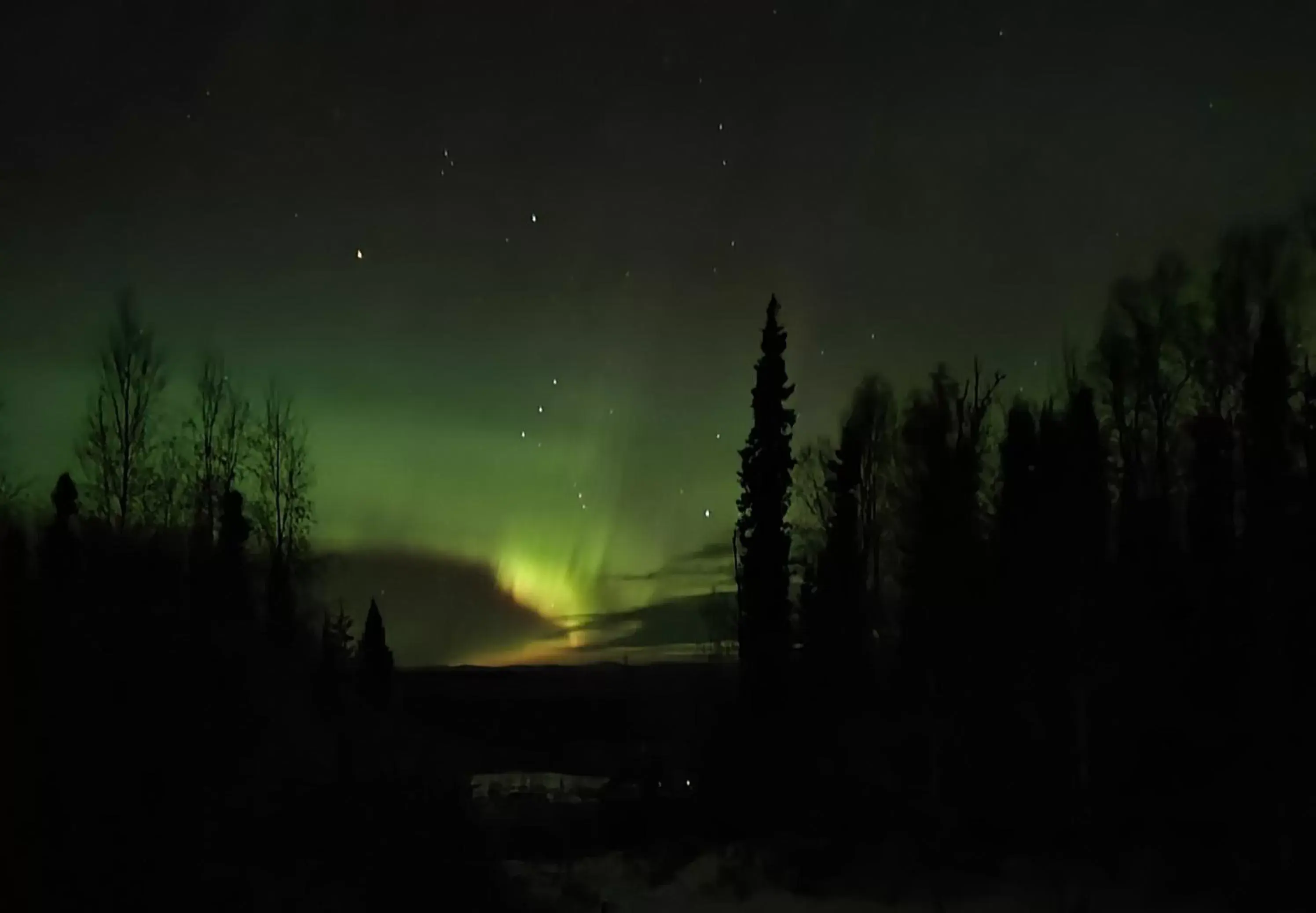 Alaska Grizzly Lodge