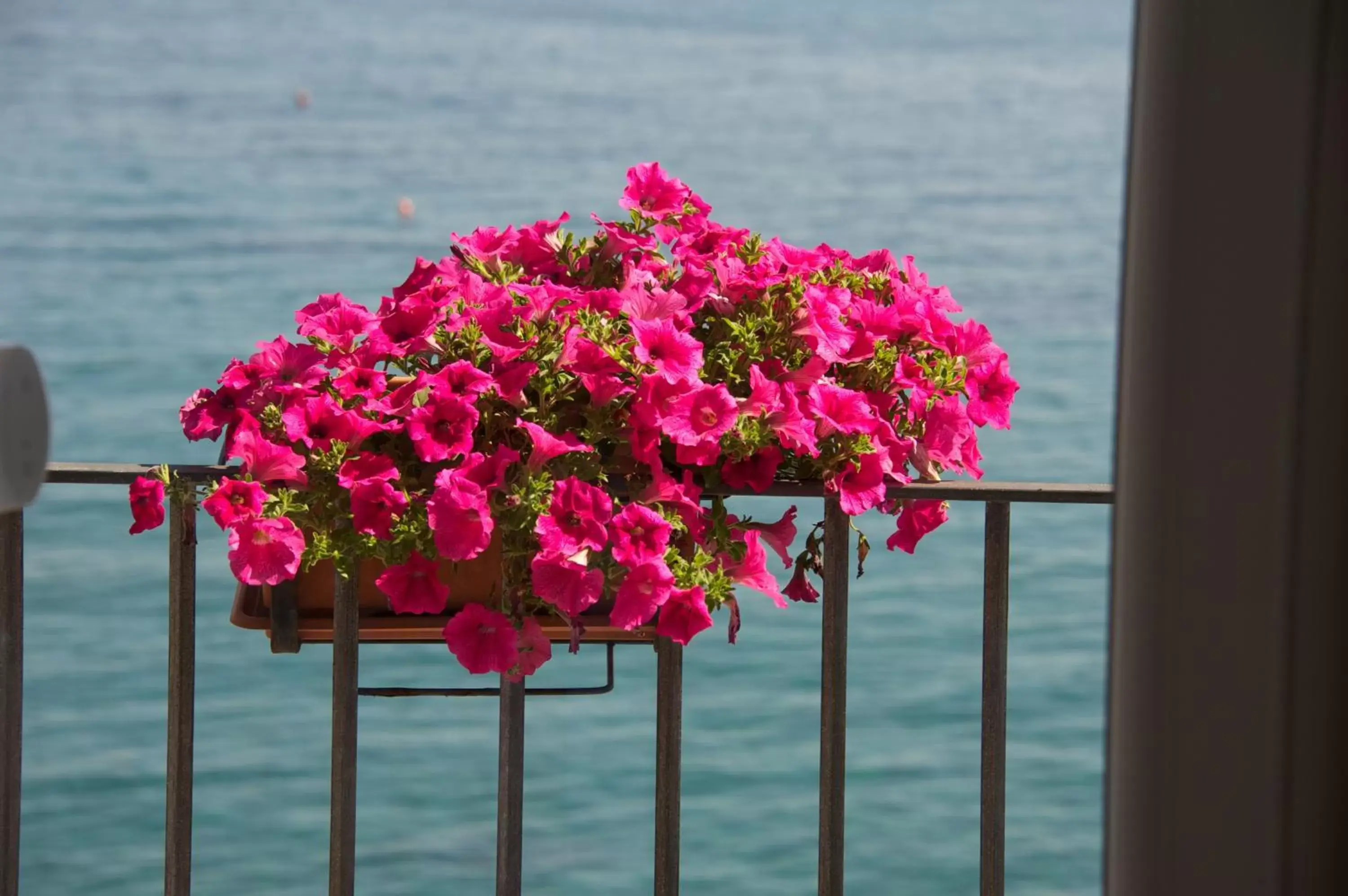 Day, Sea View in Villa Lieta