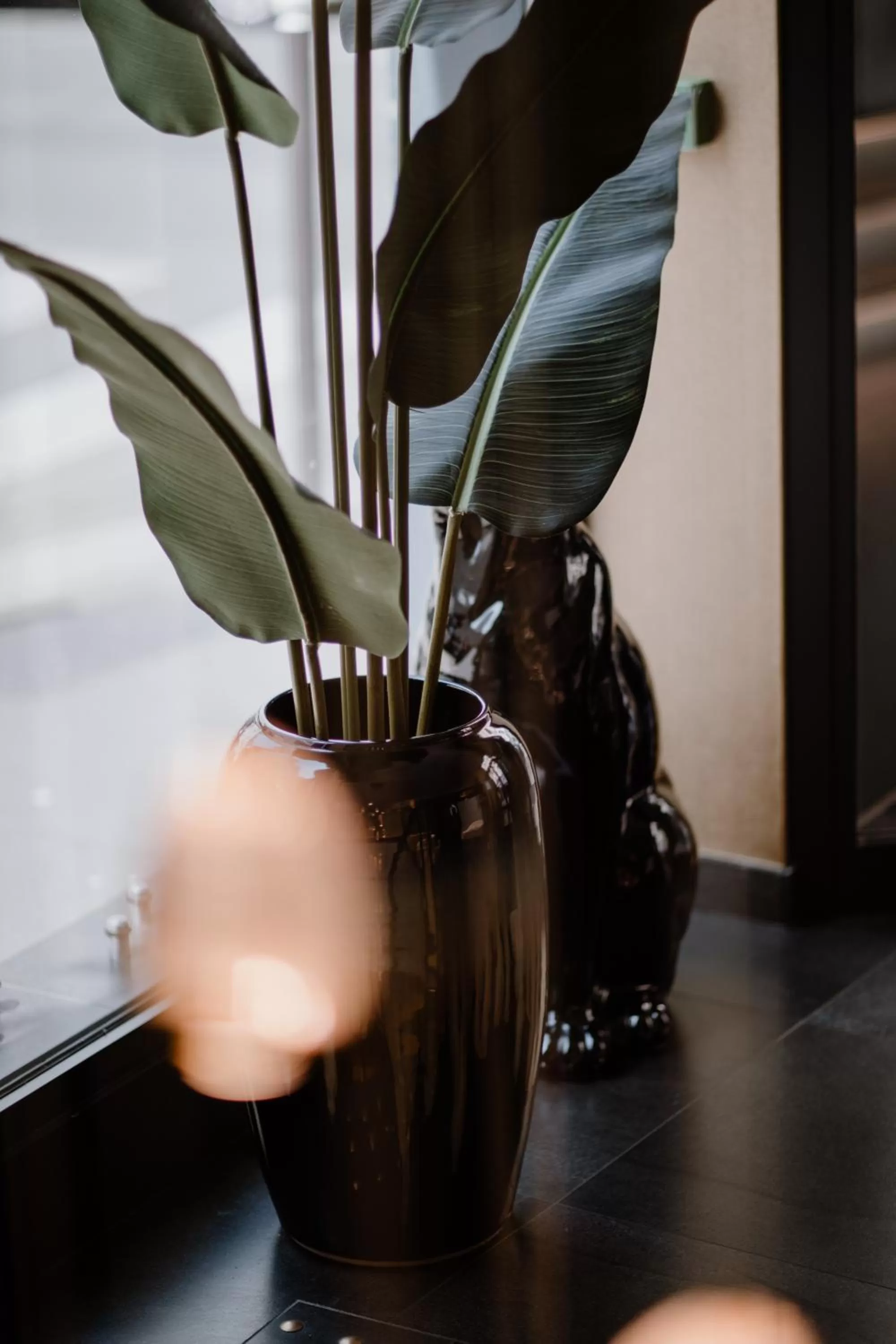 Living room in Prince Albert Lyon Bercy