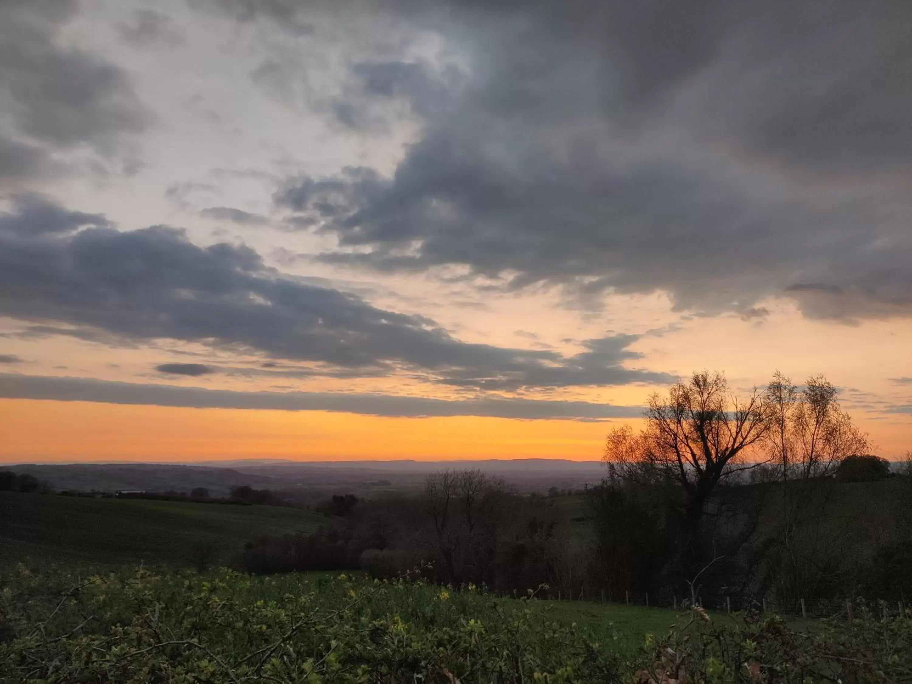 Natural landscape in Hanley House