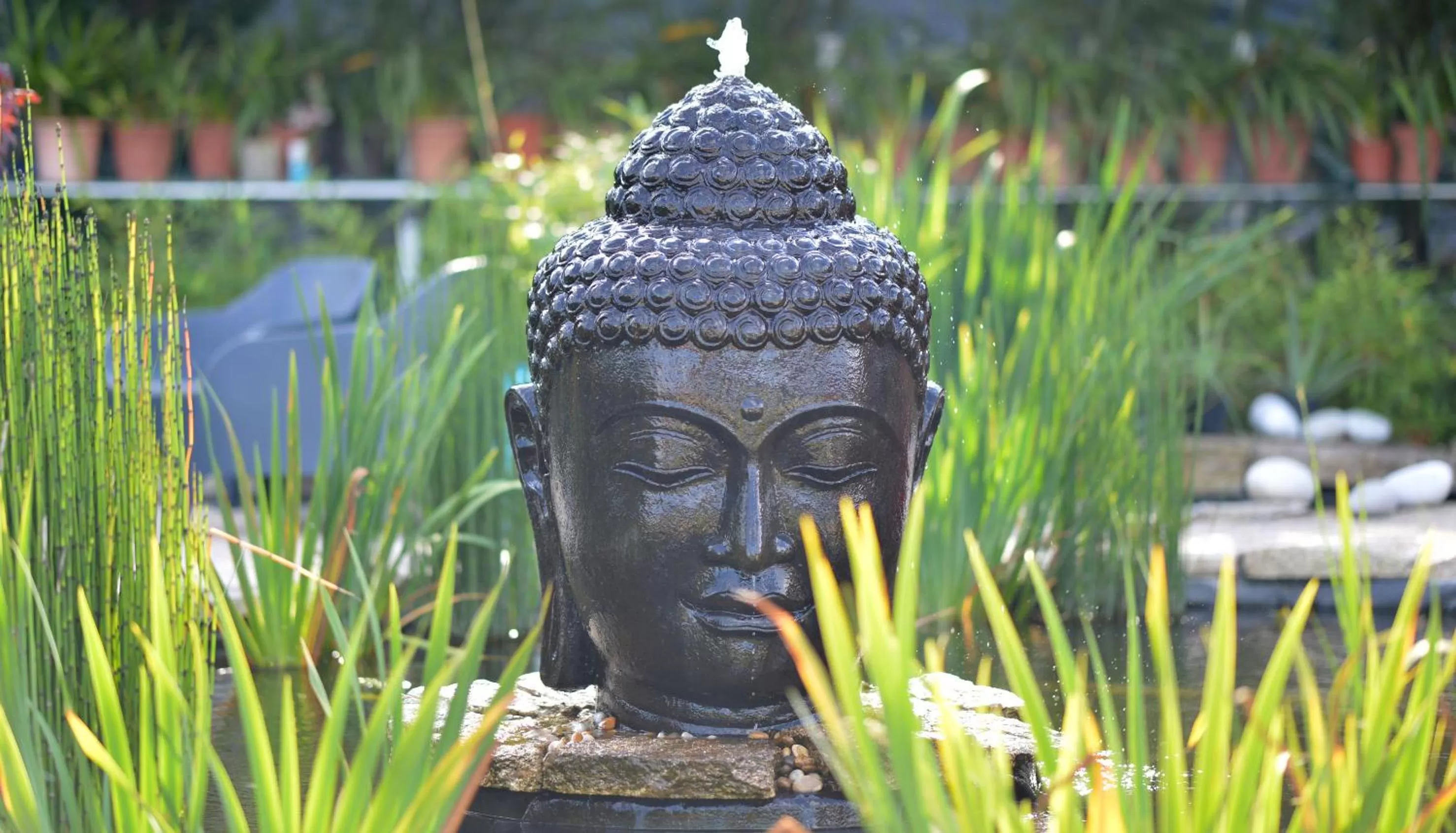 Garden in Casa das Carpas