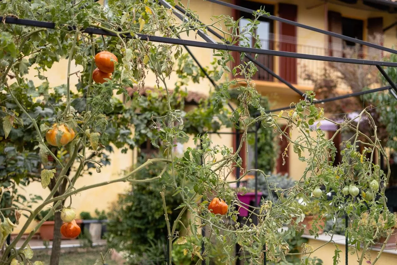 Garden in La Valle B&B