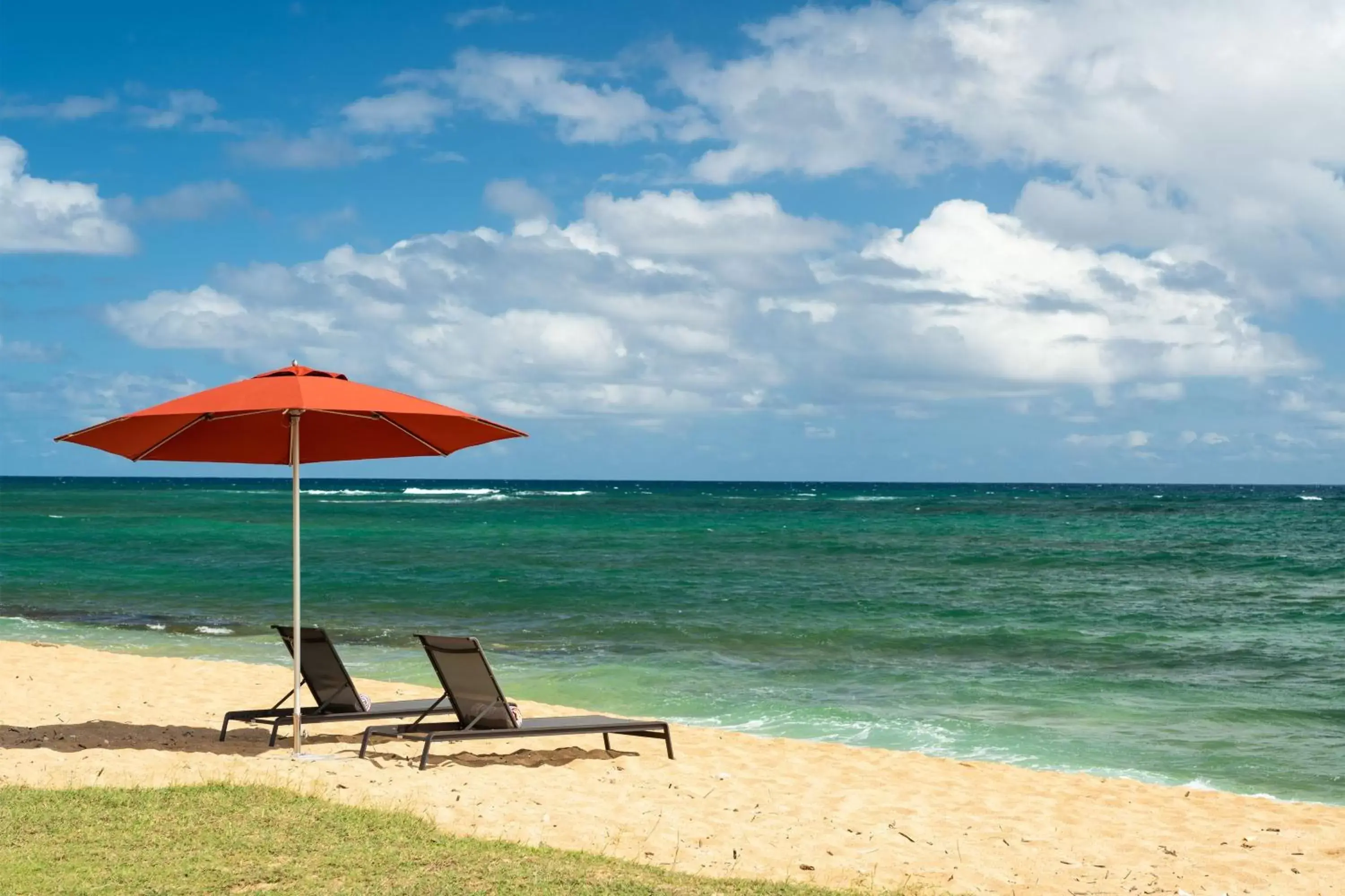 Beach in Sheraton Kauai Coconut Beach Resort