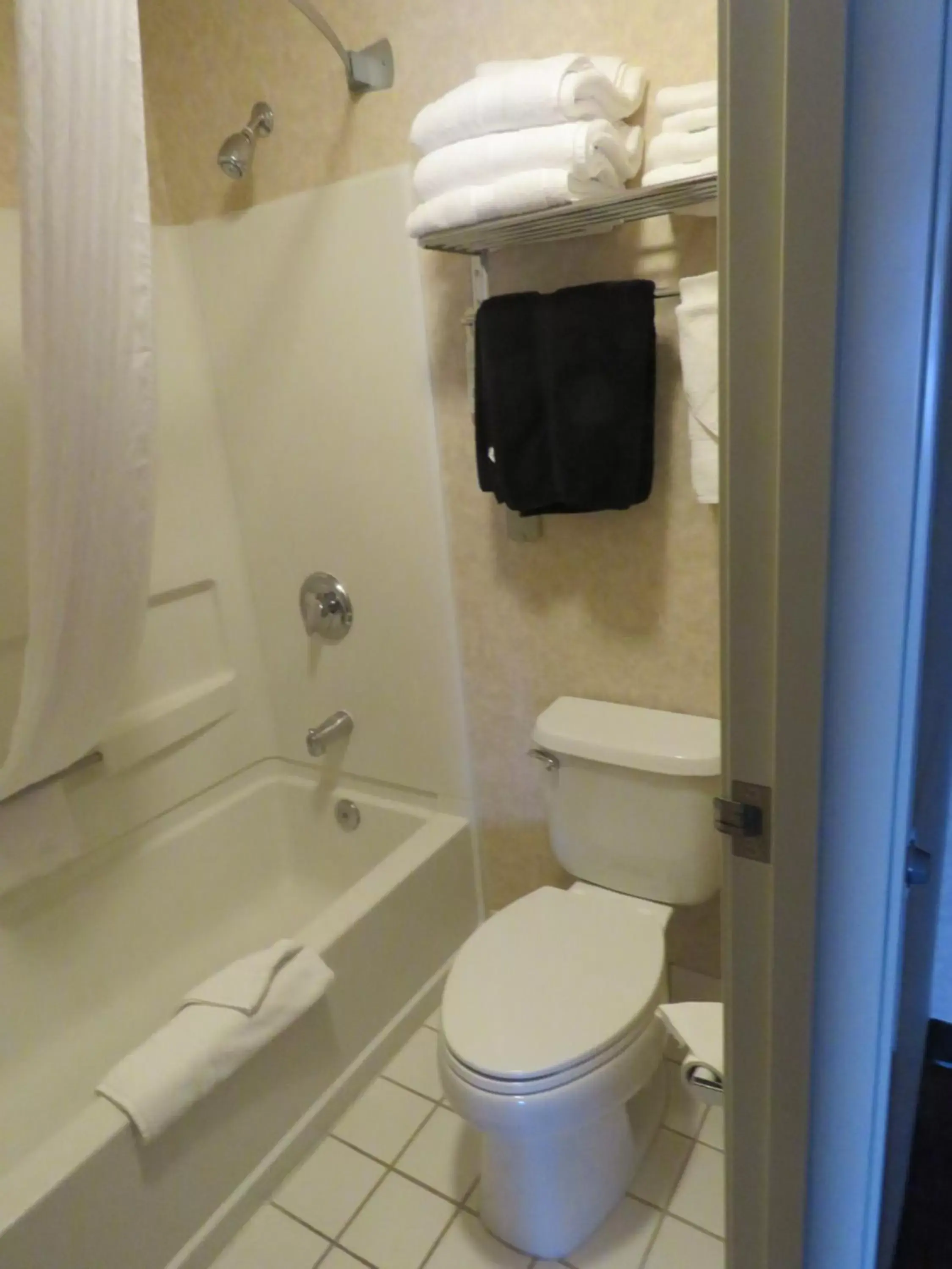 Shower, Bathroom in Stay Wise Inn Cedaredge